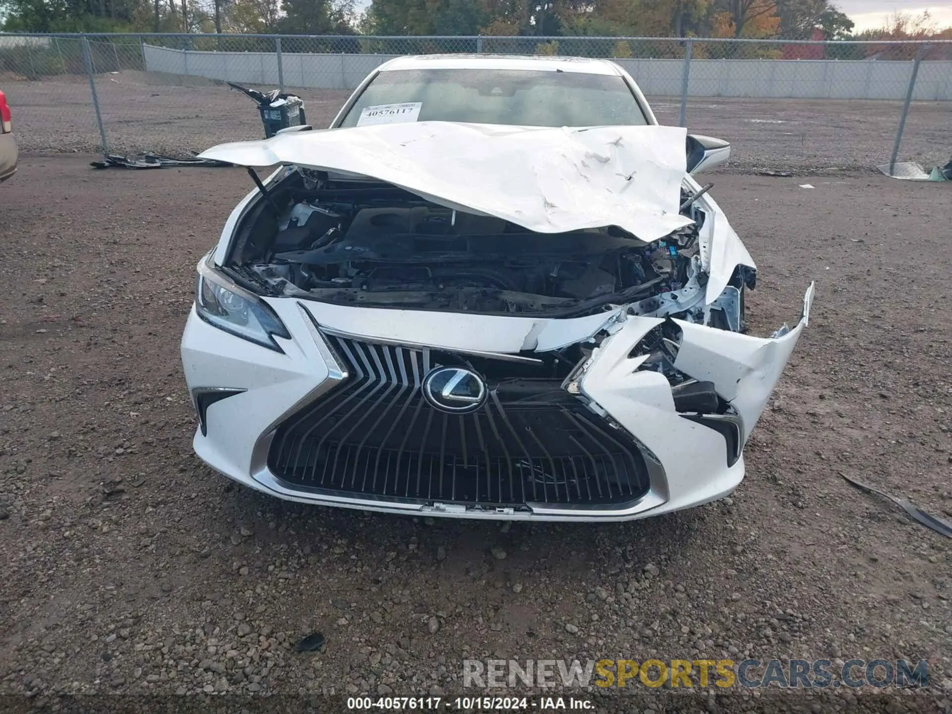 12 fotografías del automóvil dañado 58AD11D15MU008069 LEXUS ES 250 2021