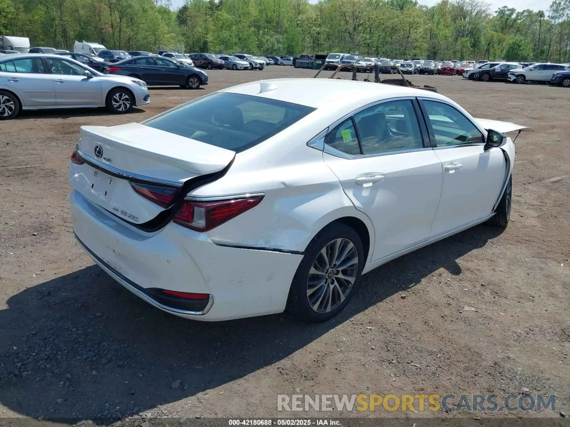 17 fotografías del automóvil dañado 58AD11D17MU005321 LEXUS ES 250 2021