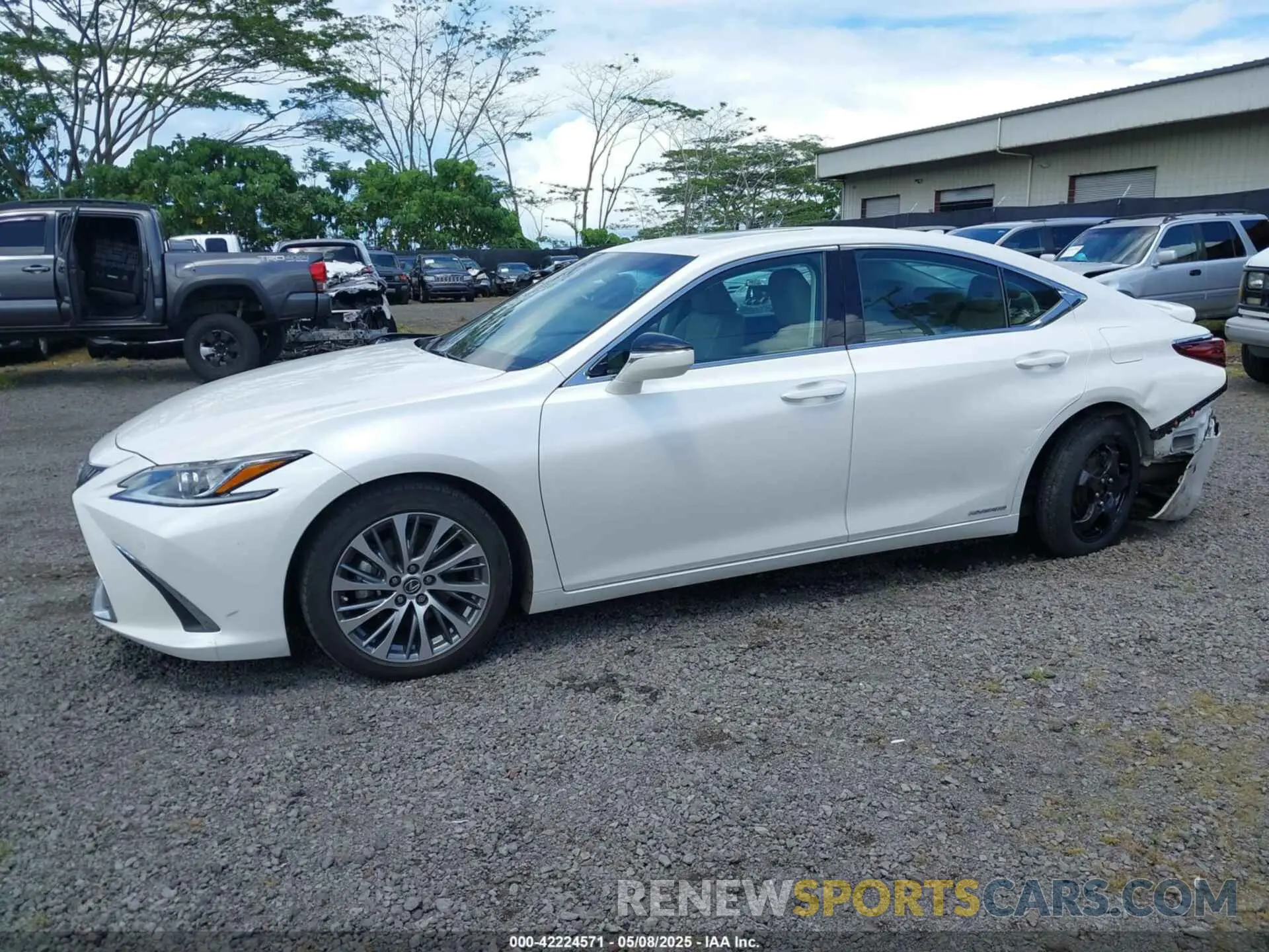14 fotografías del automóvil dañado 58AD21B19LU005884 LEXUS ES 300H 2020