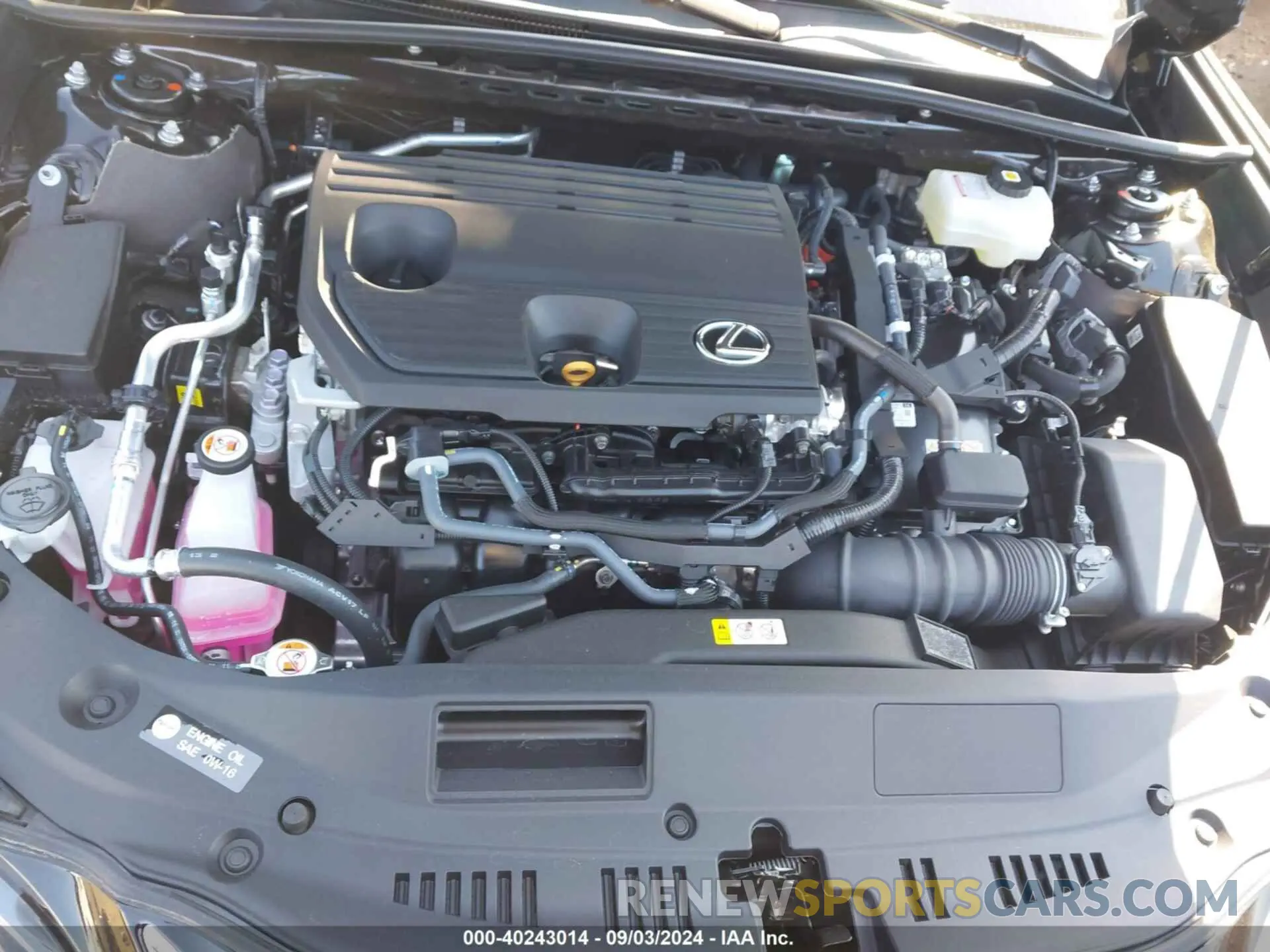 10 fotografías del automóvil dañado 58ADA1C11RU051042 LEXUS ES 300H 2024