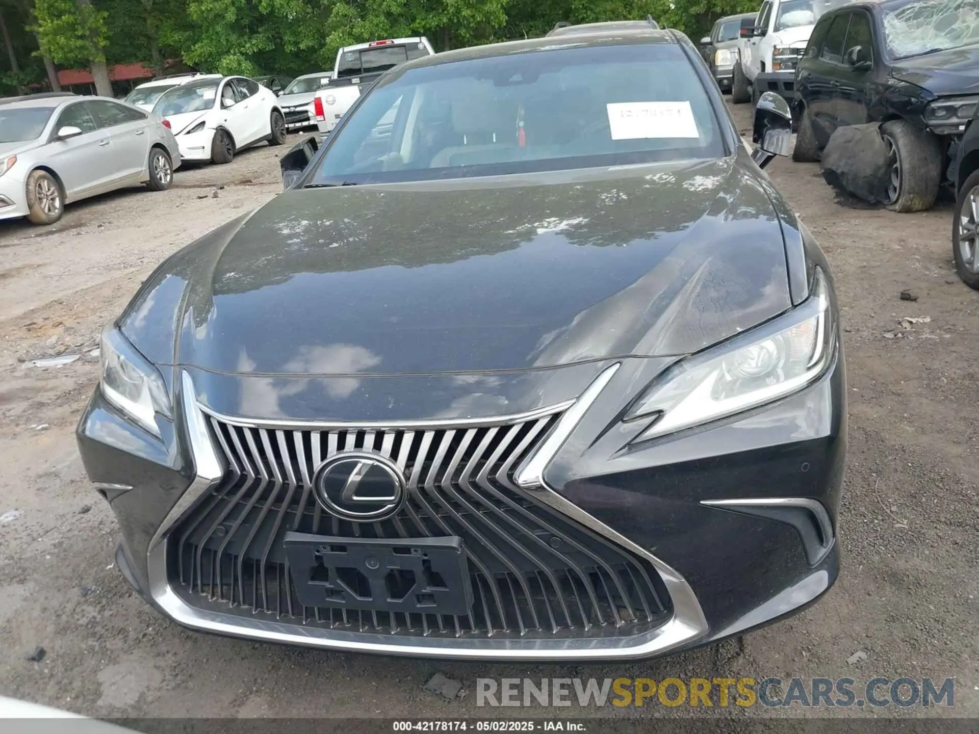 12 fotografías del automóvil dañado 58ABZ1B16KU020442 LEXUS ES 350 2019