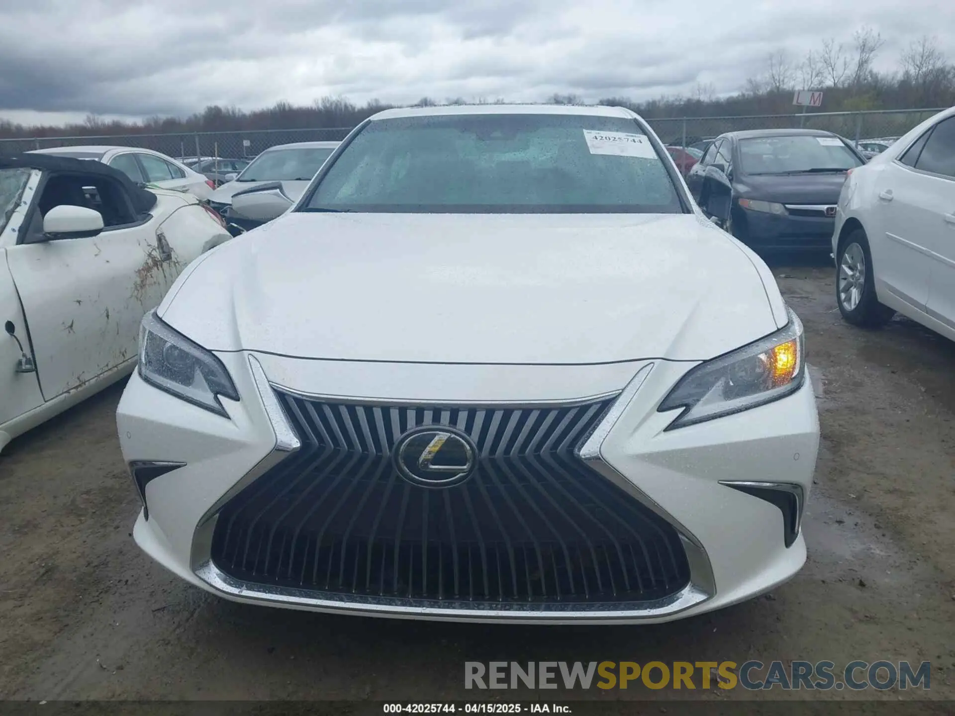 12 fotografías del automóvil dañado 58ABZ1B1XKU010853 LEXUS ES 350 2019