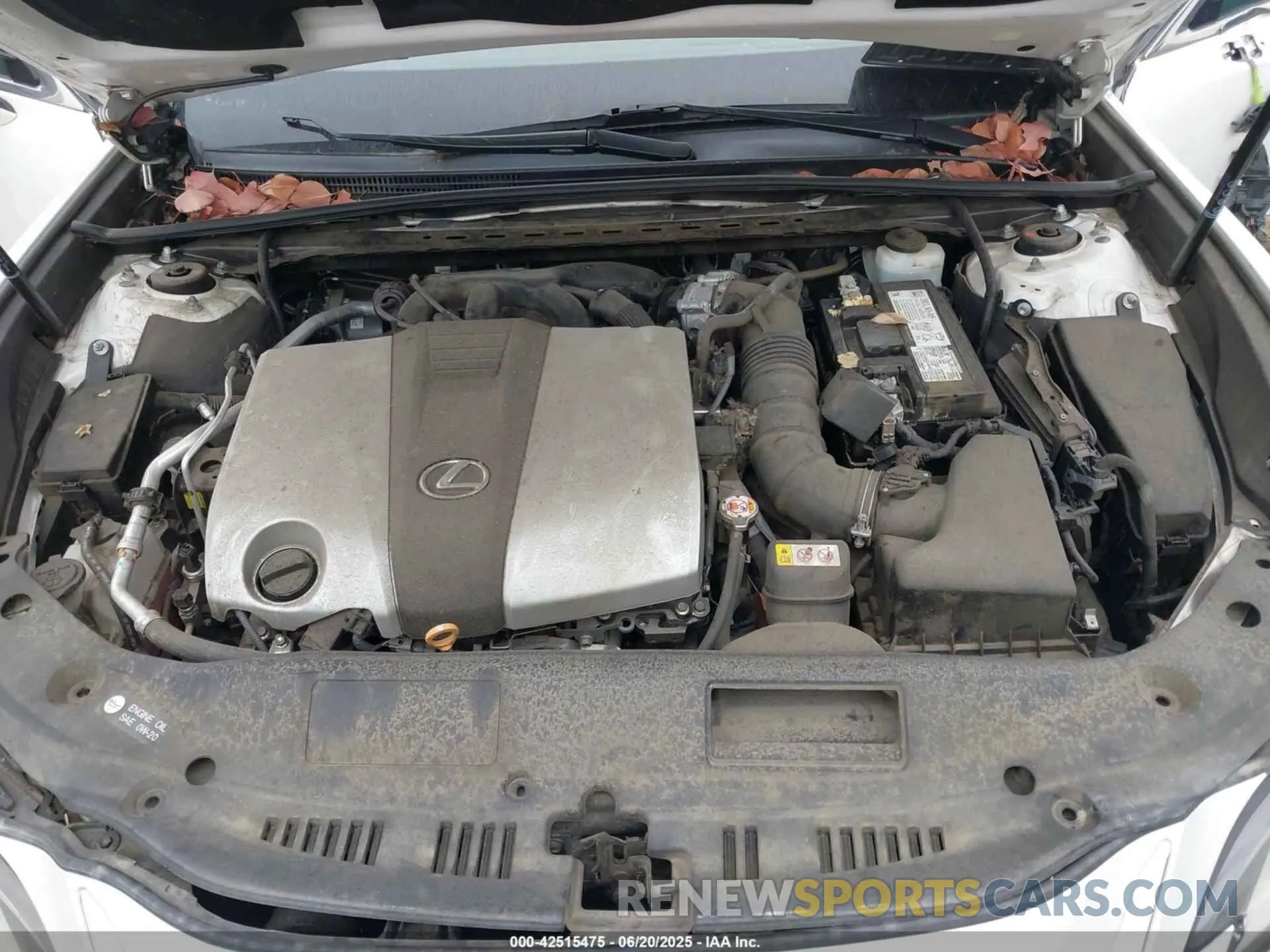 10 fotografías del automóvil dañado 58ADZ1B14MU086192 LEXUS ES 350 2021
