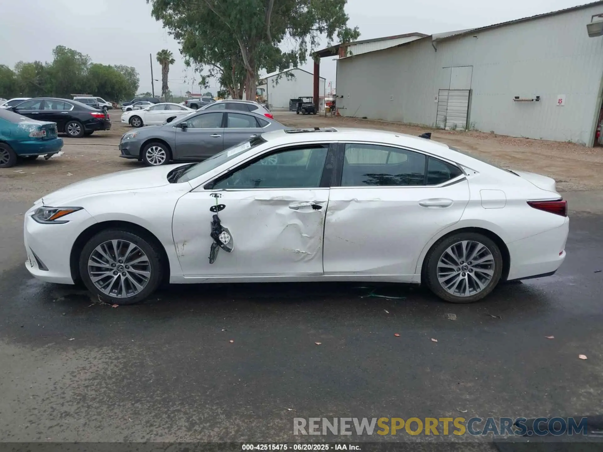 14 fotografías del automóvil dañado 58ADZ1B14MU086192 LEXUS ES 350 2021