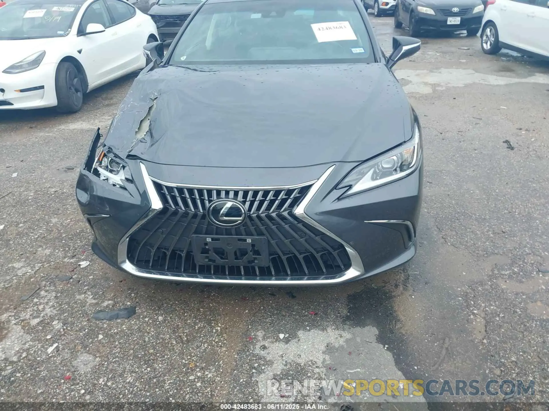 12 fotografías del automóvil dañado 58ADZ1B16NU125009 LEXUS ES 350 2022