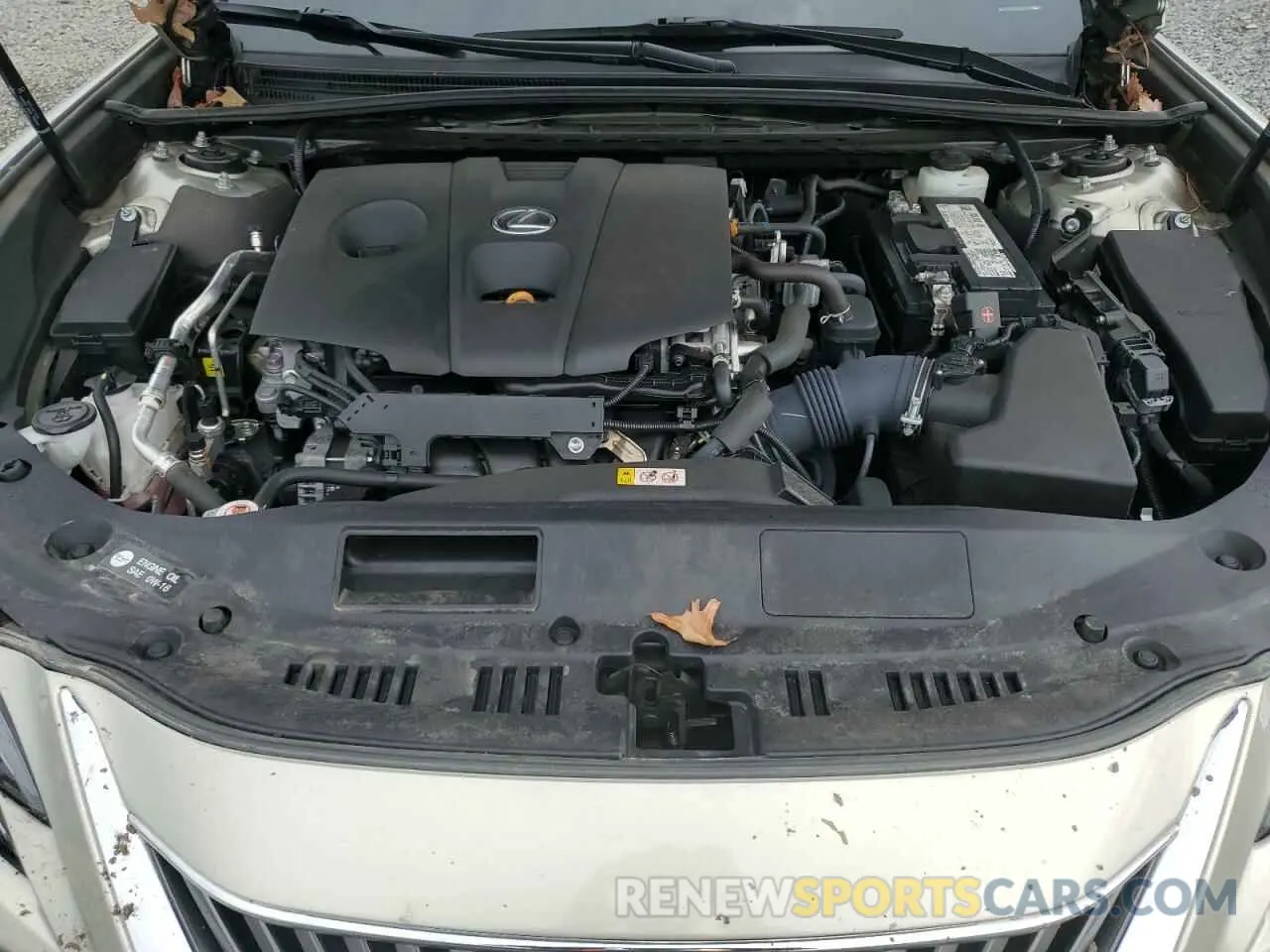 12 fotografías del automóvil dañado 58AD11D11MU003340 LEXUS ES250 2021