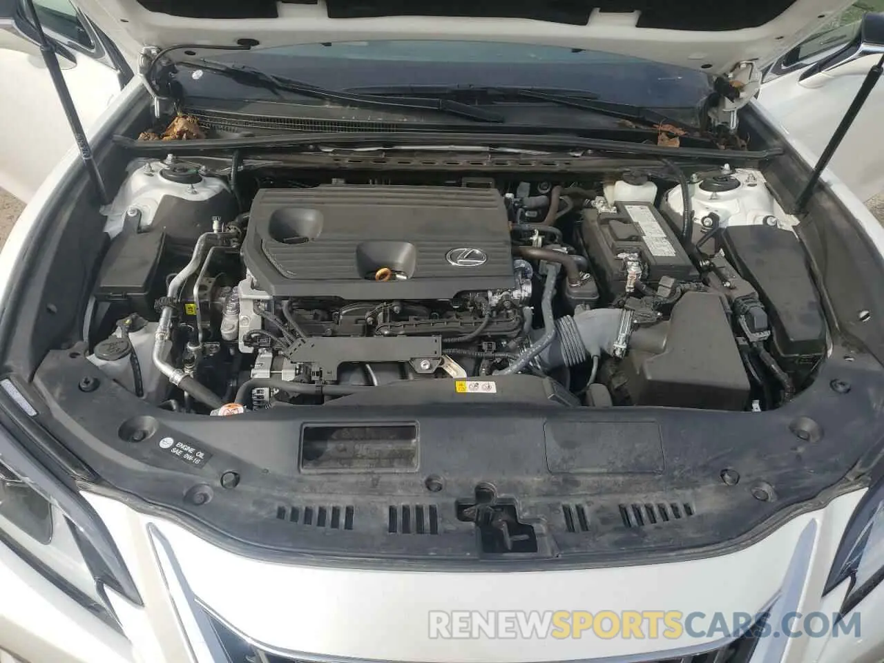 12 fotografías del automóvil dañado 58AD11D13NU009190 LEXUS ES250 2022