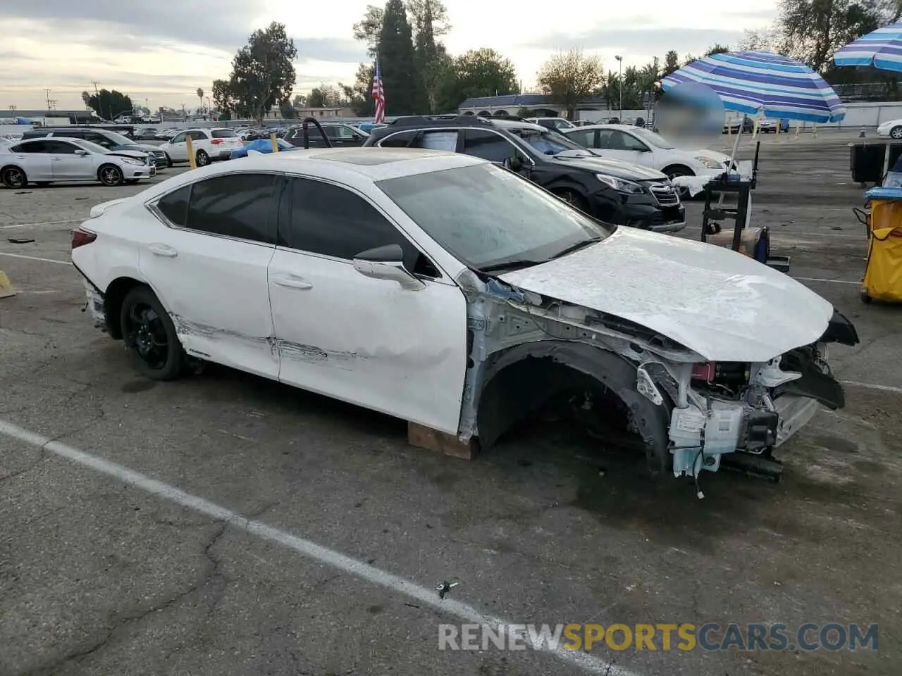 4 fotografías del automóvil dañado 58AB21B1XKU001994 LEXUS ES300 2019