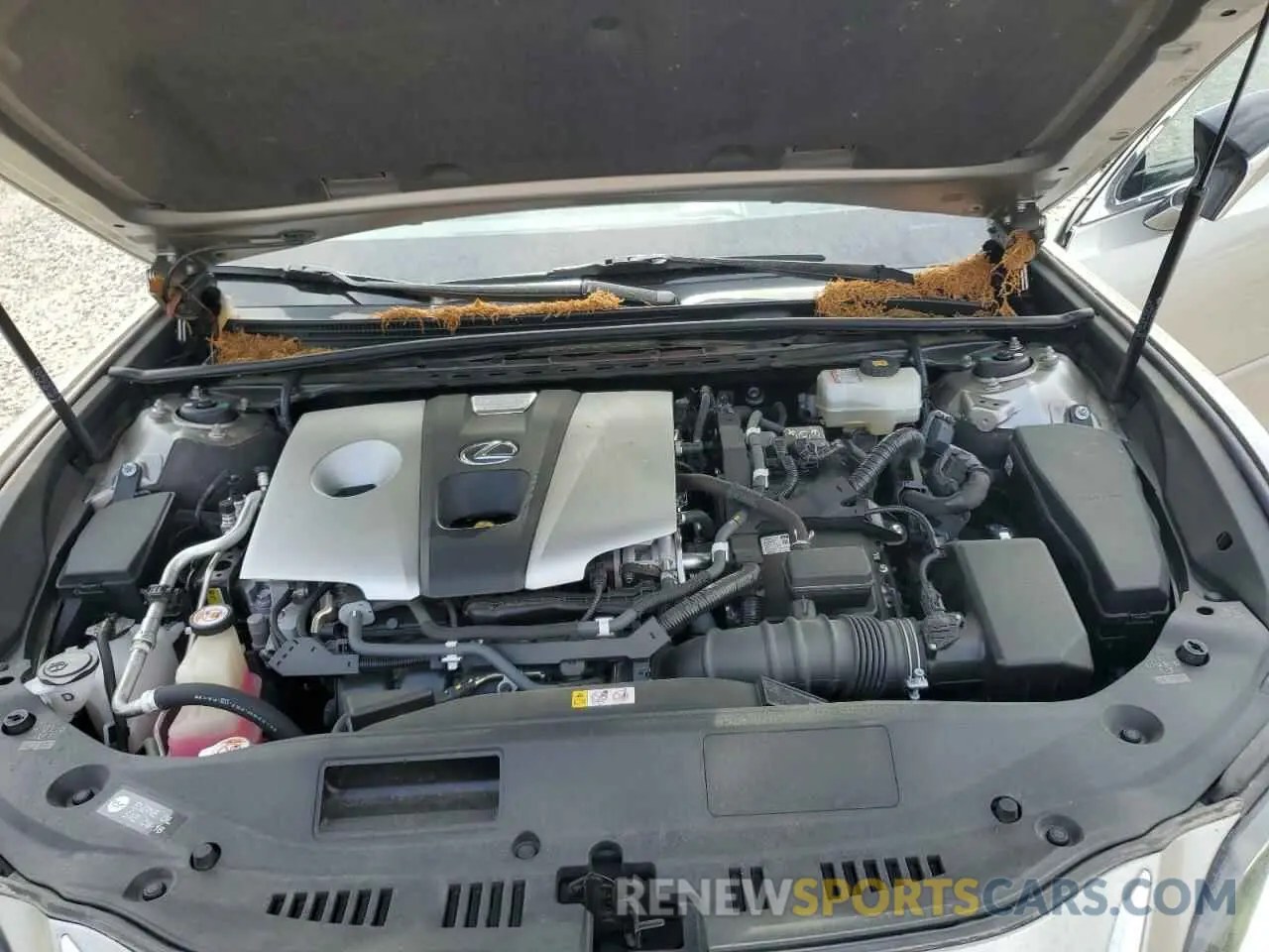 11 fotografías del automóvil dañado JTHB21B12K2006306 LEXUS ES300 2019