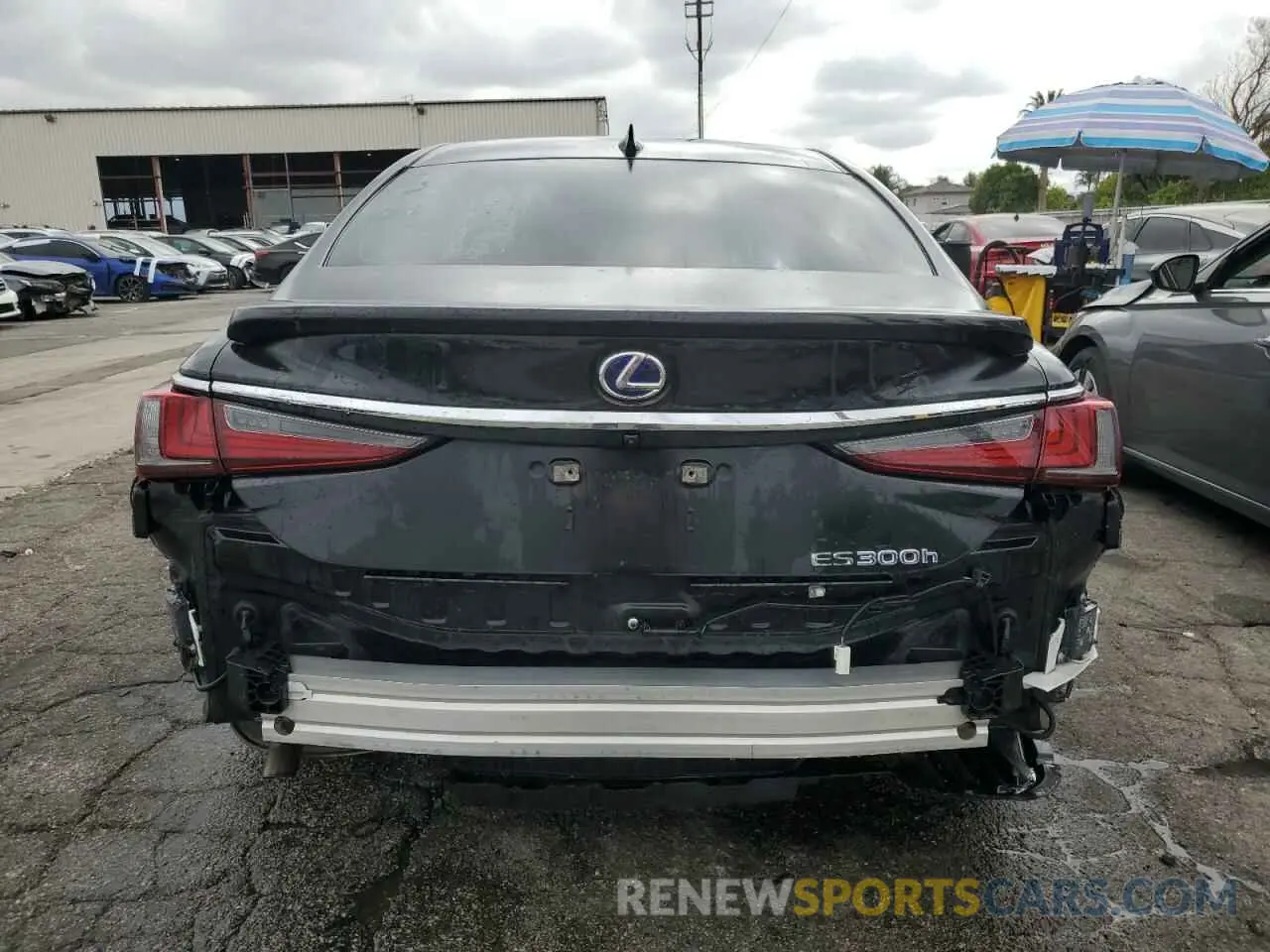 6 fotografías del automóvil dañado 58ADA1C13NU019560 LEXUS ES300 2022