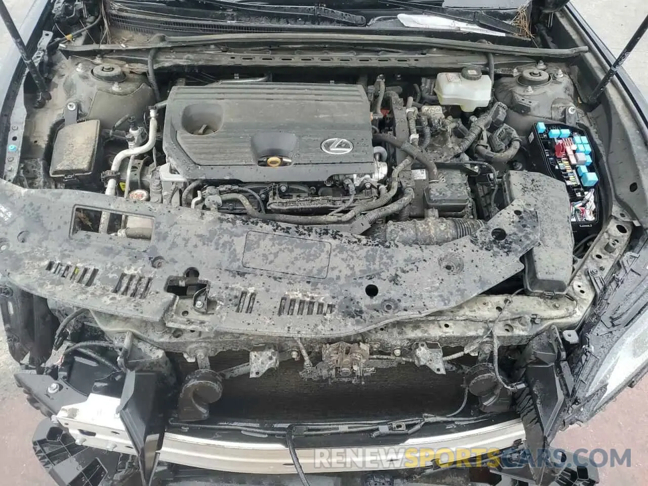 11 fotografías del automóvil dañado 58ADA1C19NU021166 LEXUS ES300 2022