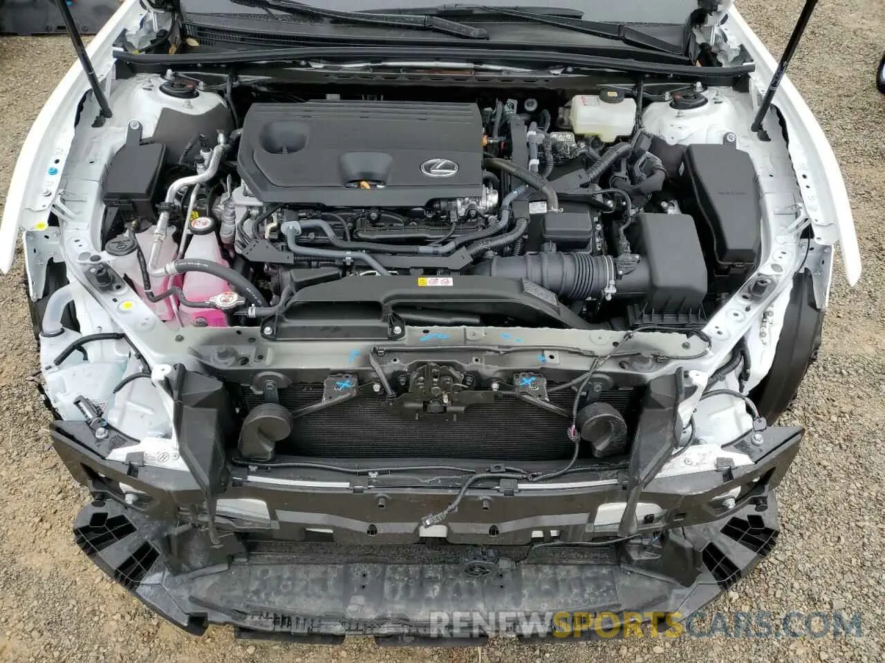 11 fotografías del automóvil dañado 58ADA1C16RU050677 LEXUS ES300 2024