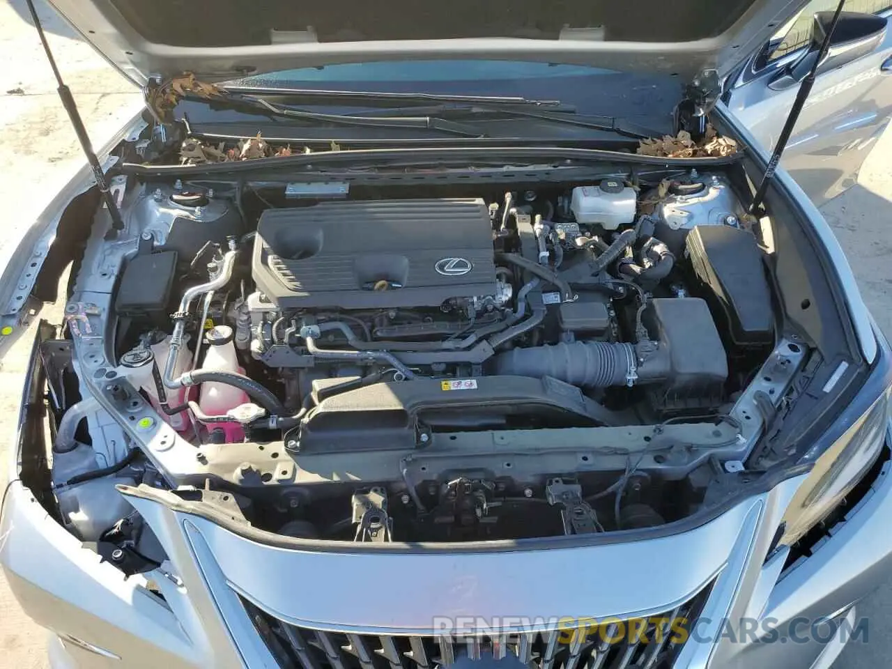 11 fotografías del automóvil dañado 58AFA1C19RU044042 LEXUS ES300 2024