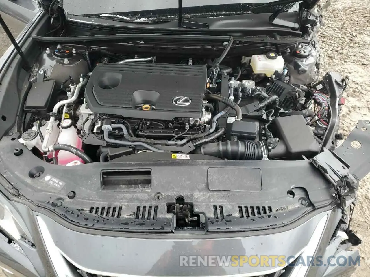 13 fotografías del automóvil dañado 58ADA1C17SU054484 LEXUS ES300 2025