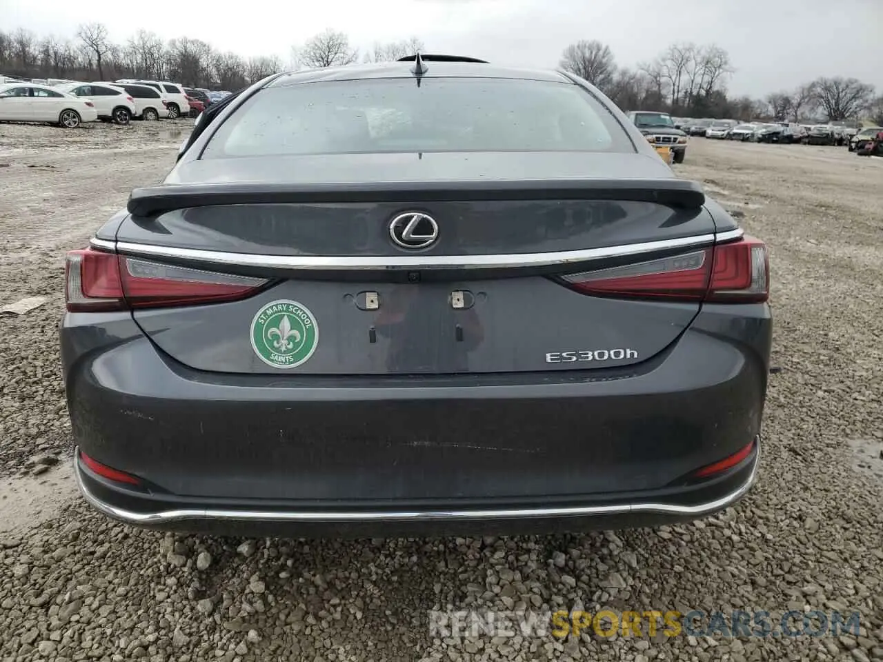 6 fotografías del automóvil dañado 58ADA1C17SU054484 LEXUS ES300 2025