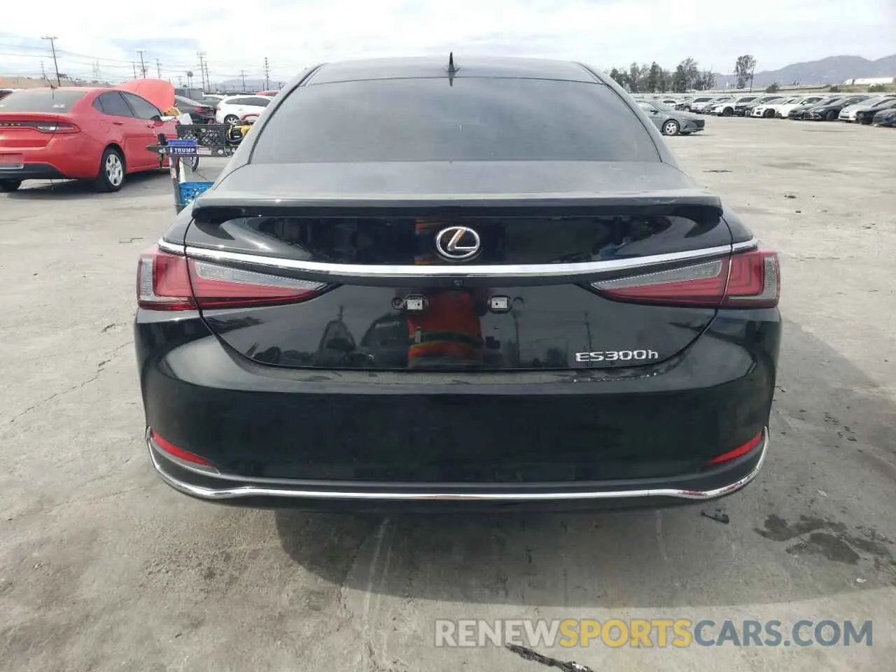 6 fotografías del automóvil dañado 58ADA1C18SU059371 LEXUS ES300 2025