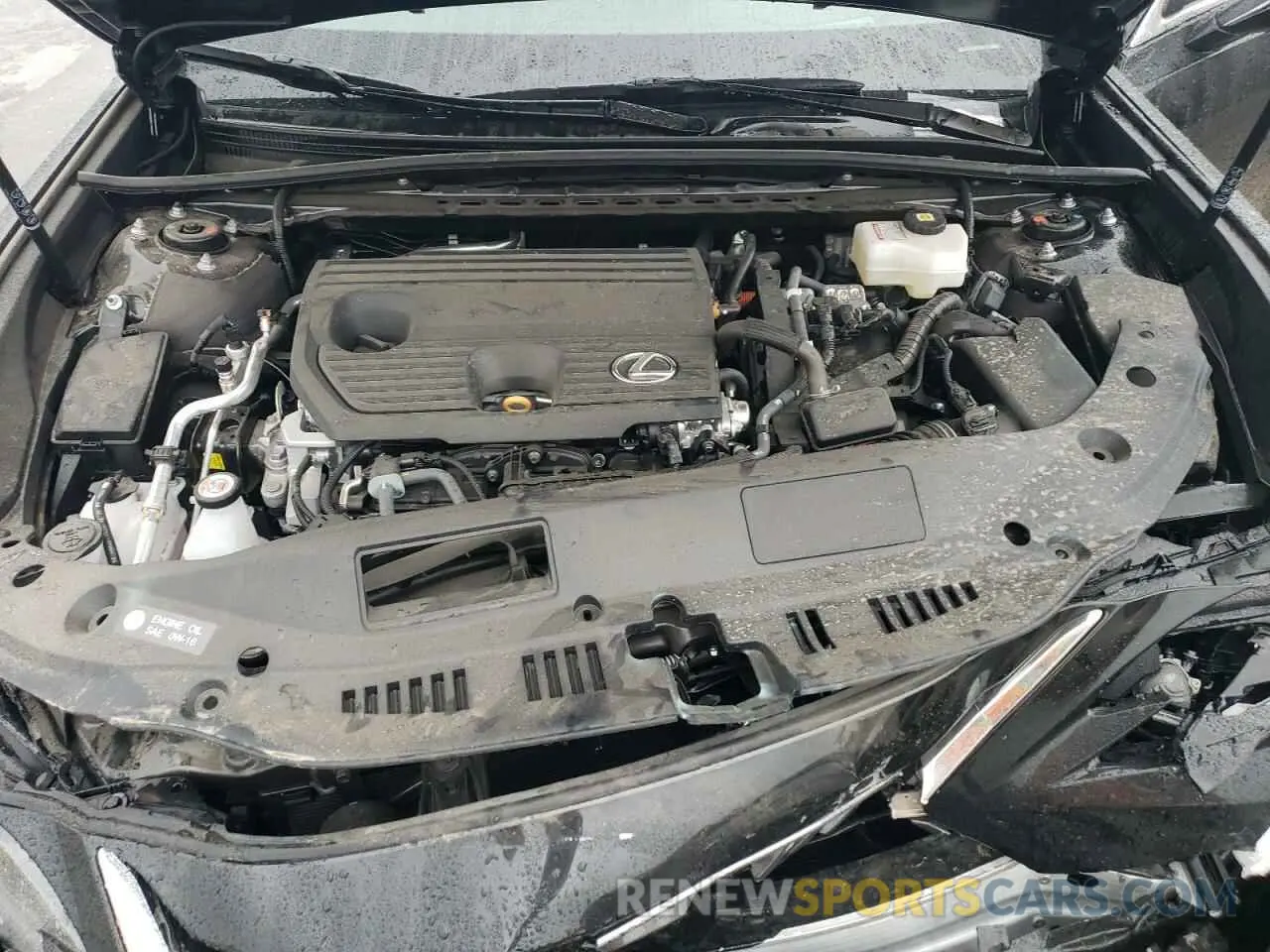 11 fotografías del automóvil dañado 58AEA1C17SU057552 LEXUS ES300 2025