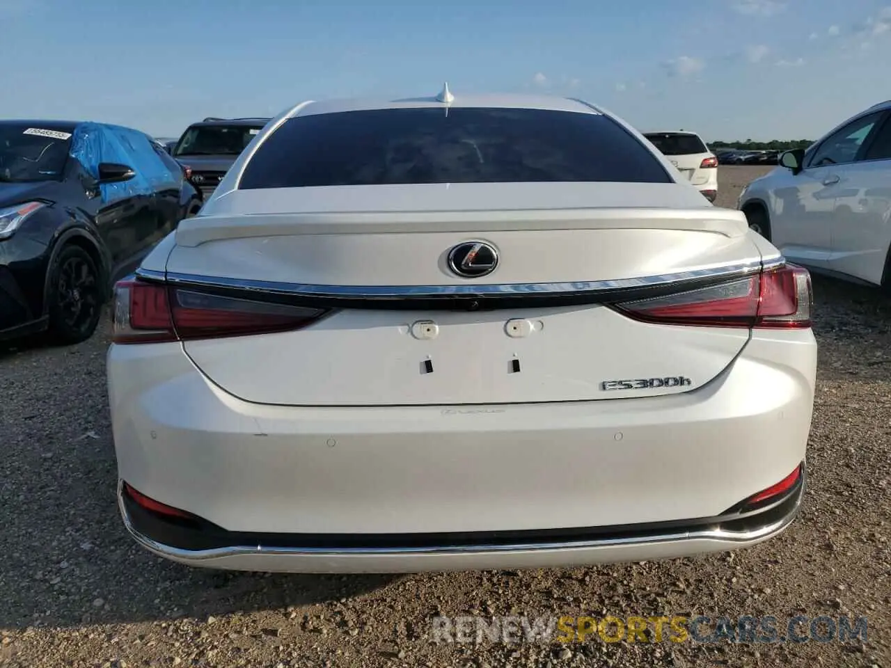 6 fotografías del automóvil dañado 58AFA1C14SU058825 LEXUS ES300 2025