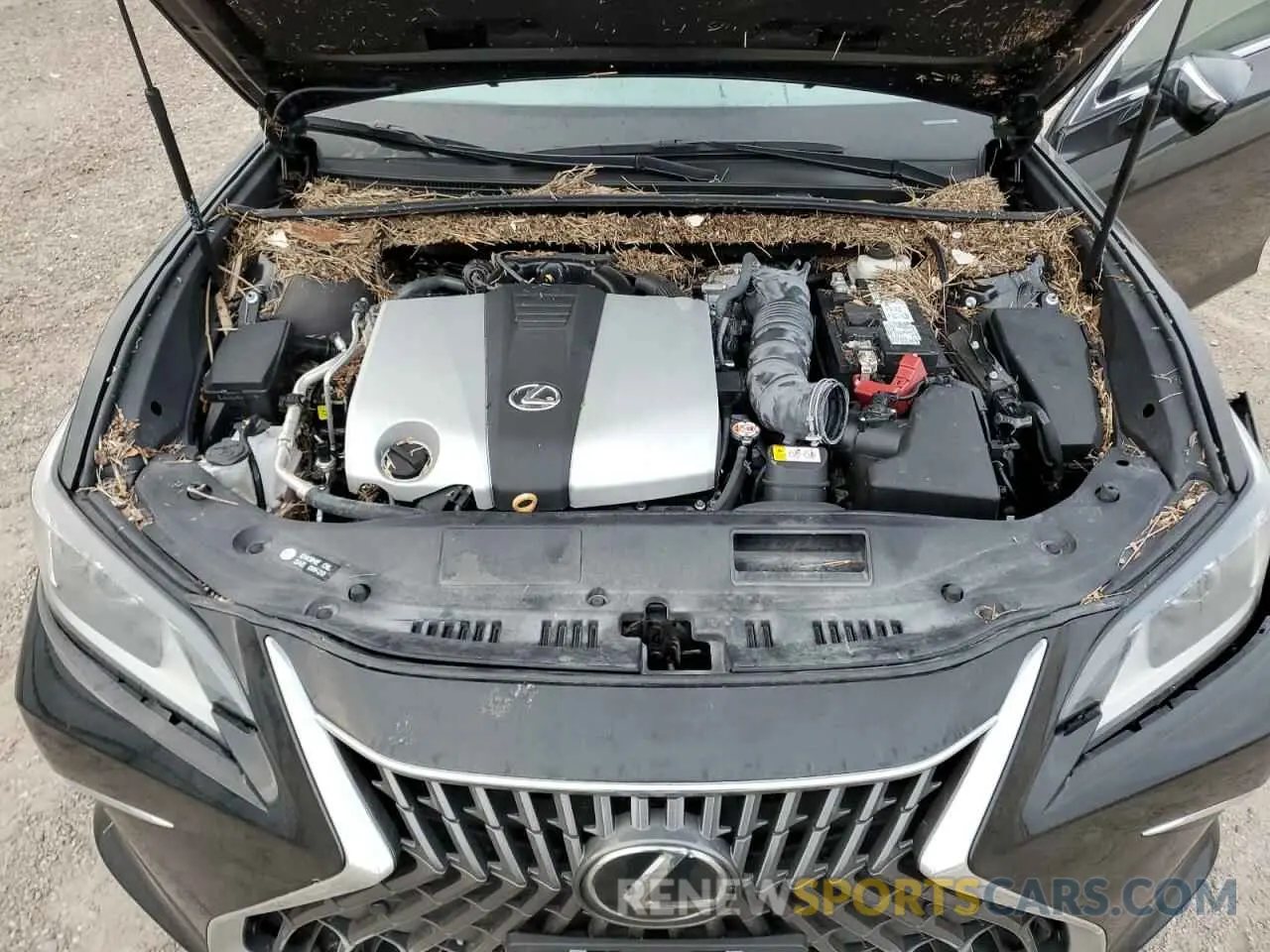 13 fotografías del automóvil dañado 58ADZ1B11RU167660 LEXUS ES350 2024
