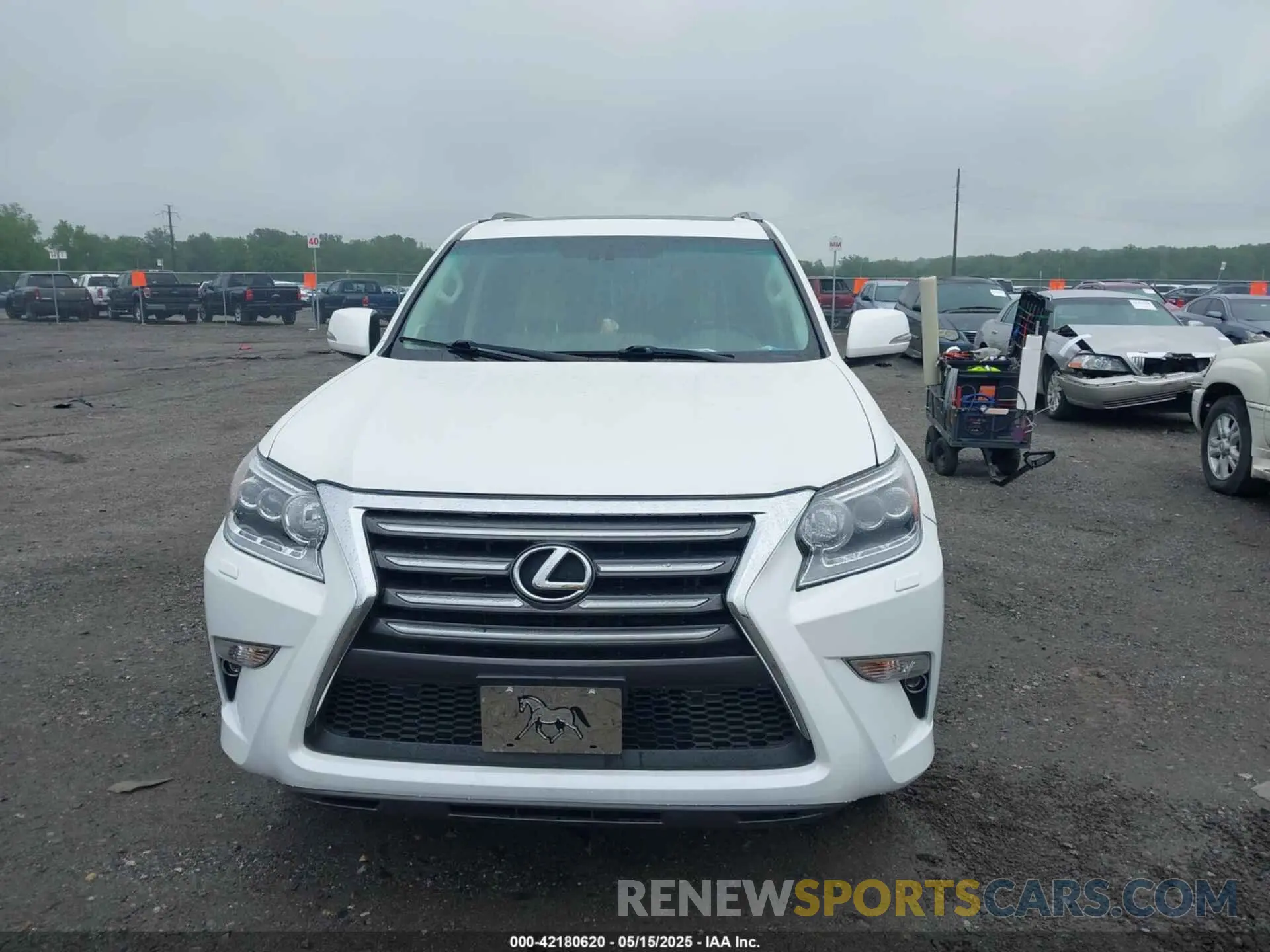 12 fotografías del automóvil dañado JTJBM7FX8K5233766 LEXUS GX 460 2019