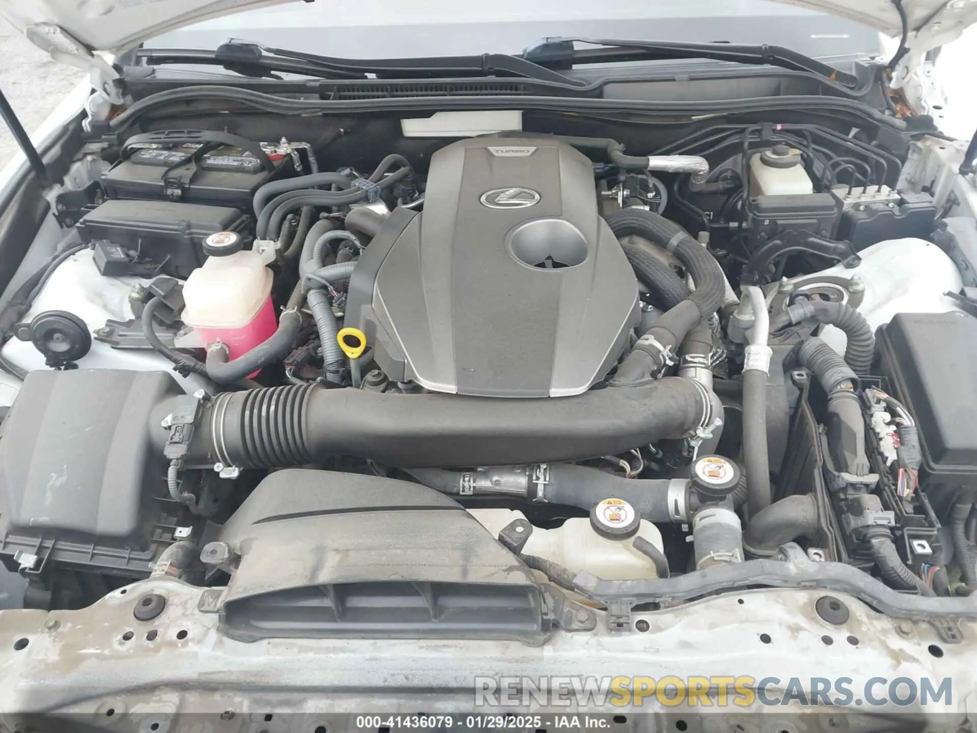 10 fotografías del automóvil dañado JTHBA1D28K5092728 LEXUS IS 300 2019