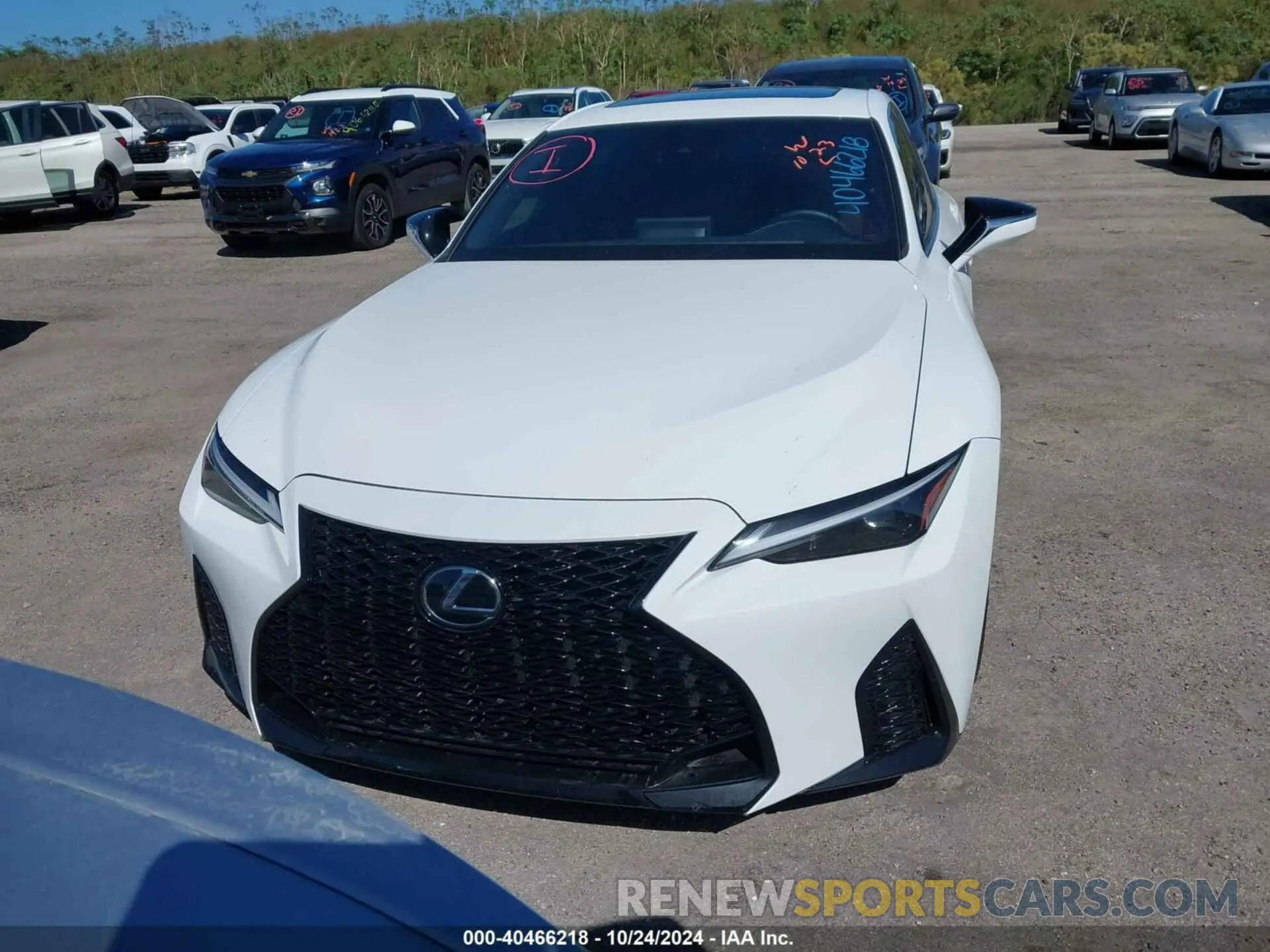 12 fotografías del automóvil dañado JTHBZ1B27R5078518 LEXUS IS 350 2024