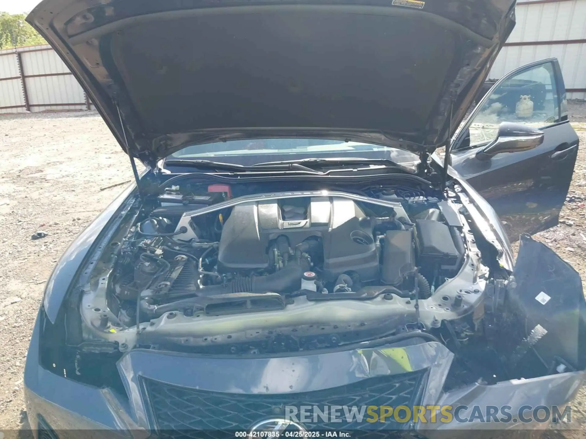 10 fotografías del automóvil dañado JTHAP1D21P5003423 LEXUS IS 500 2023