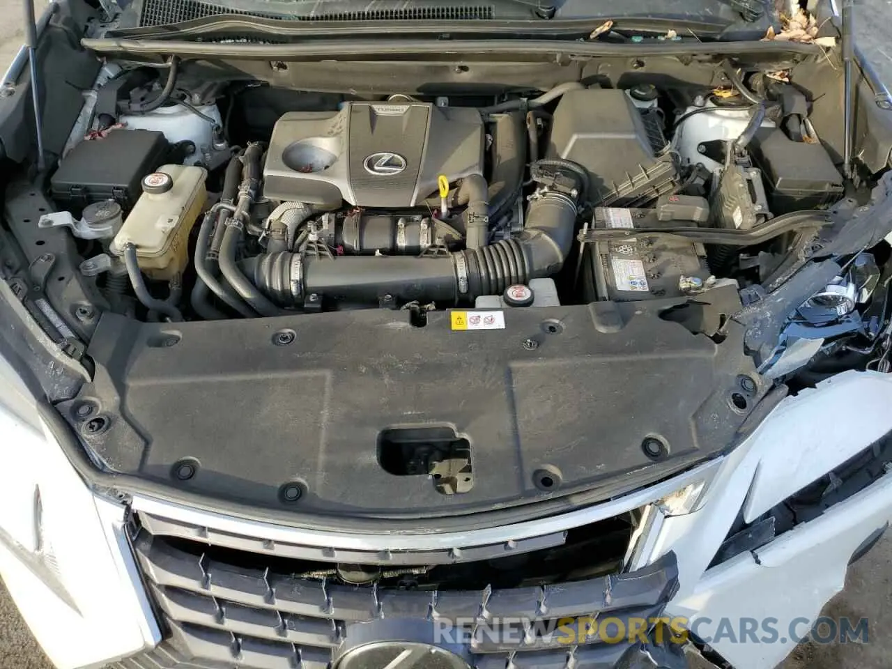 12 fotografías del automóvil dañado JTJBARBZ1K2179854 LEXUS NX 2019