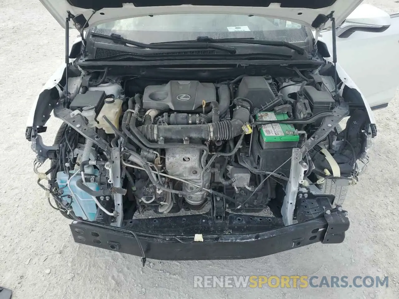 12 fotografías del automóvil dañado JTJBARBZ1K2181135 LEXUS NX 2019