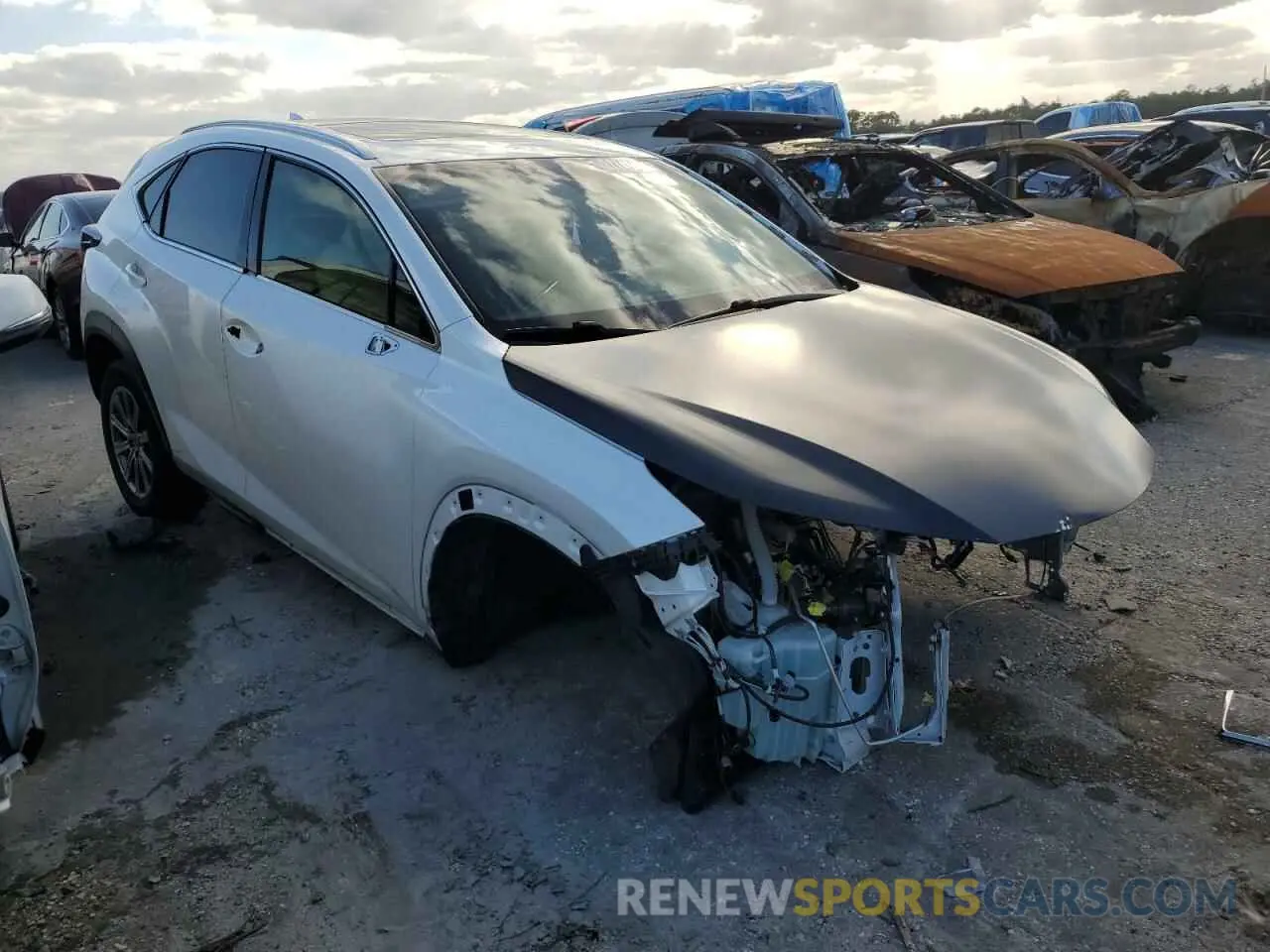 4 fotografías del automóvil dañado JTJBARBZ1K2216904 LEXUS NX 2019