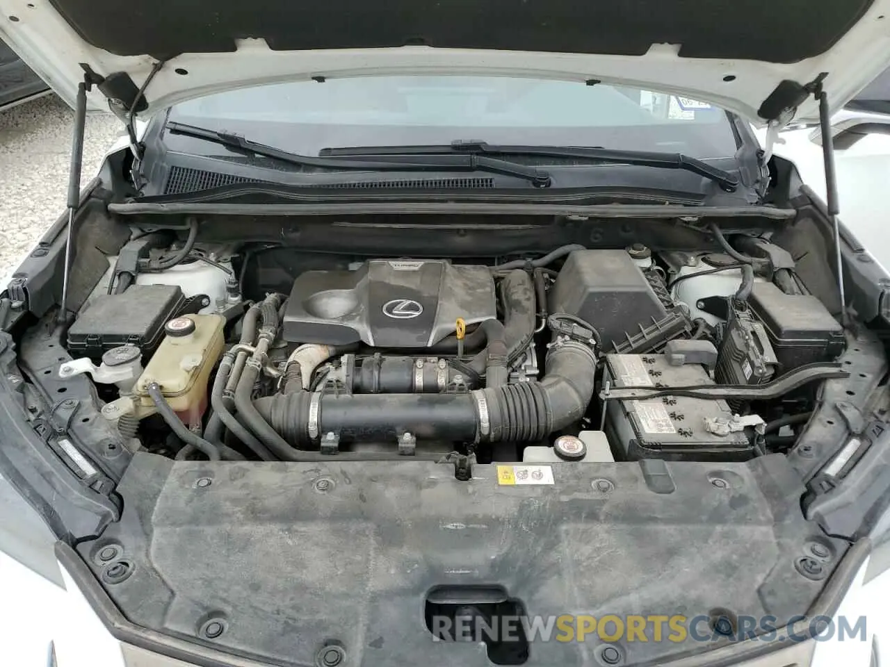 12 fotografías del automóvil dañado JTJBARBZ4K2186166 LEXUS NX 2019