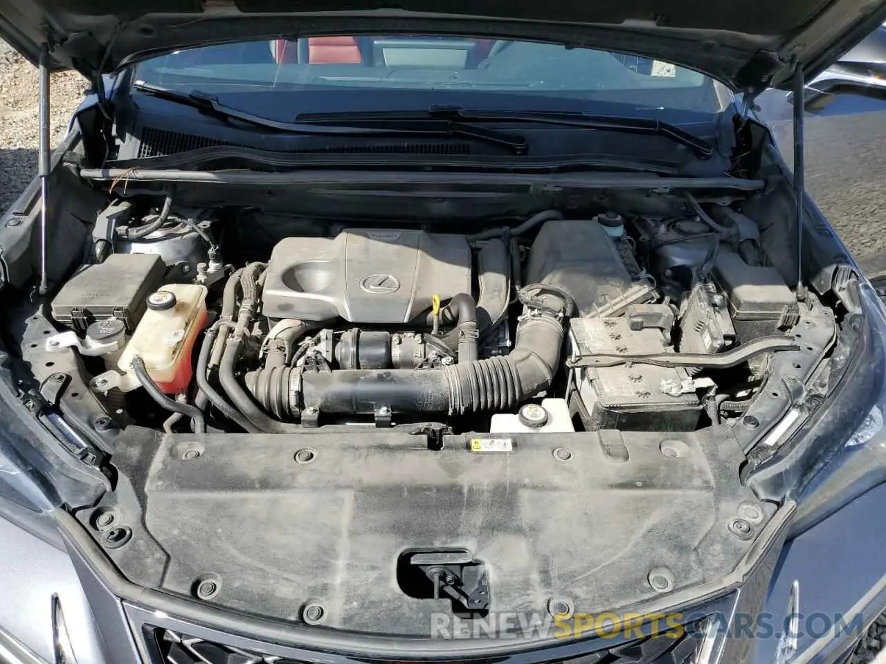 12 fotografías del automóvil dañado JTJBARBZ5K2204187 LEXUS NX 2019