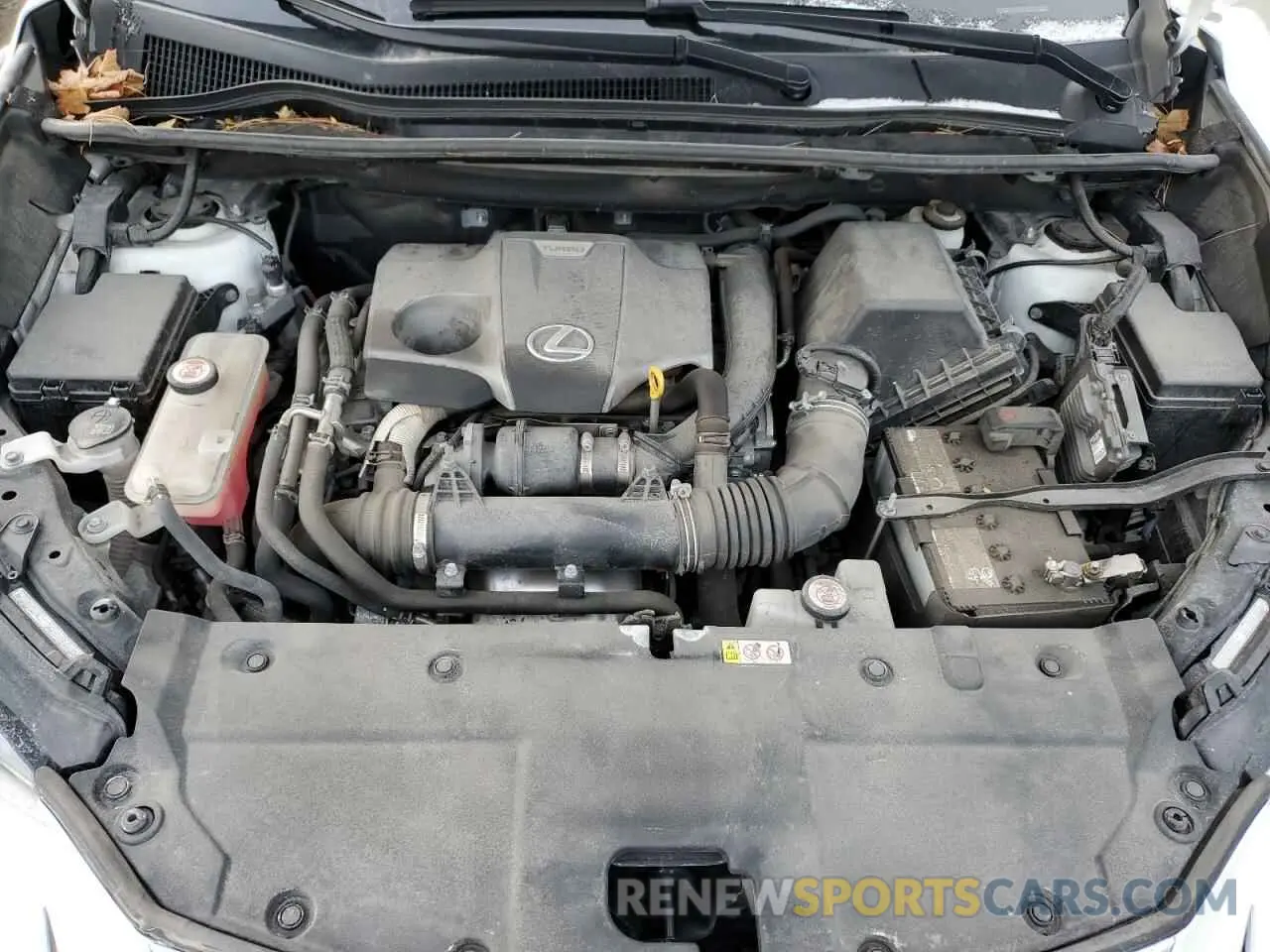 12 fotografías del automóvil dañado JTJBARBZ5K2207204 LEXUS NX 2019