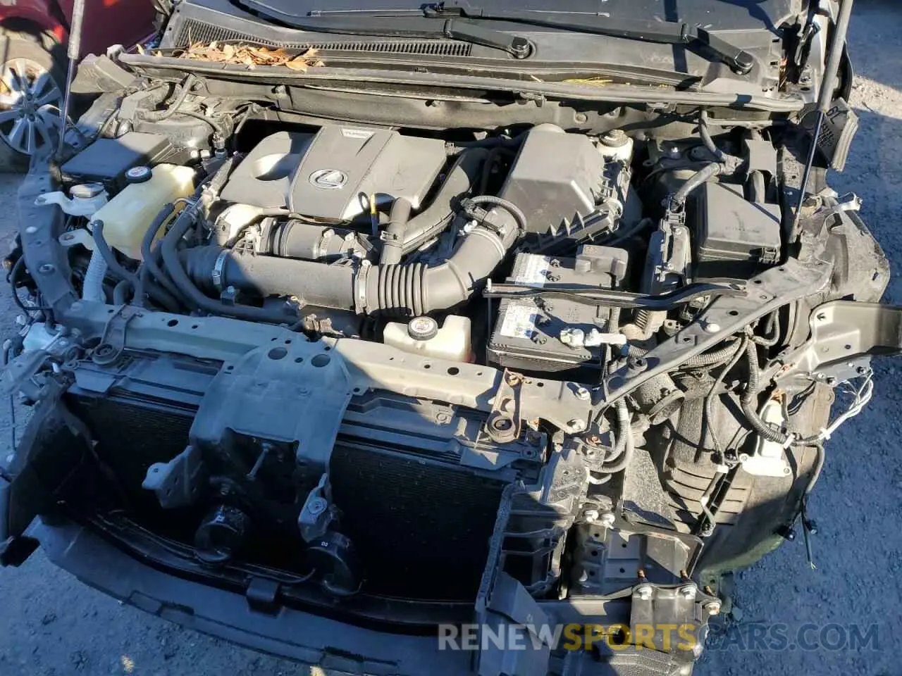 12 fotografías del automóvil dañado JTJBARBZ6K2197475 LEXUS NX 2019