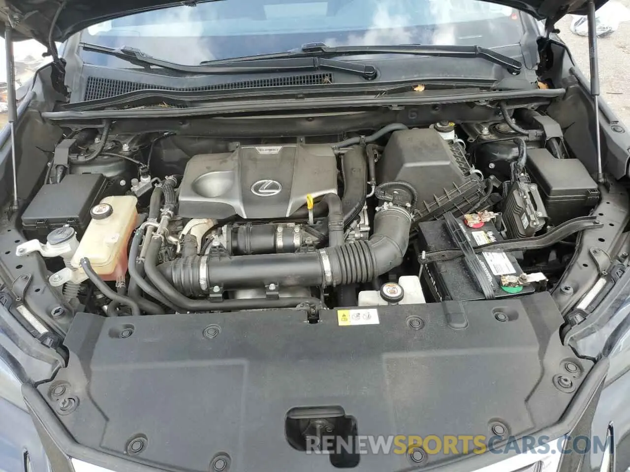 12 fotografías del automóvil dañado JTJBARBZ7K2188168 LEXUS NX 2019