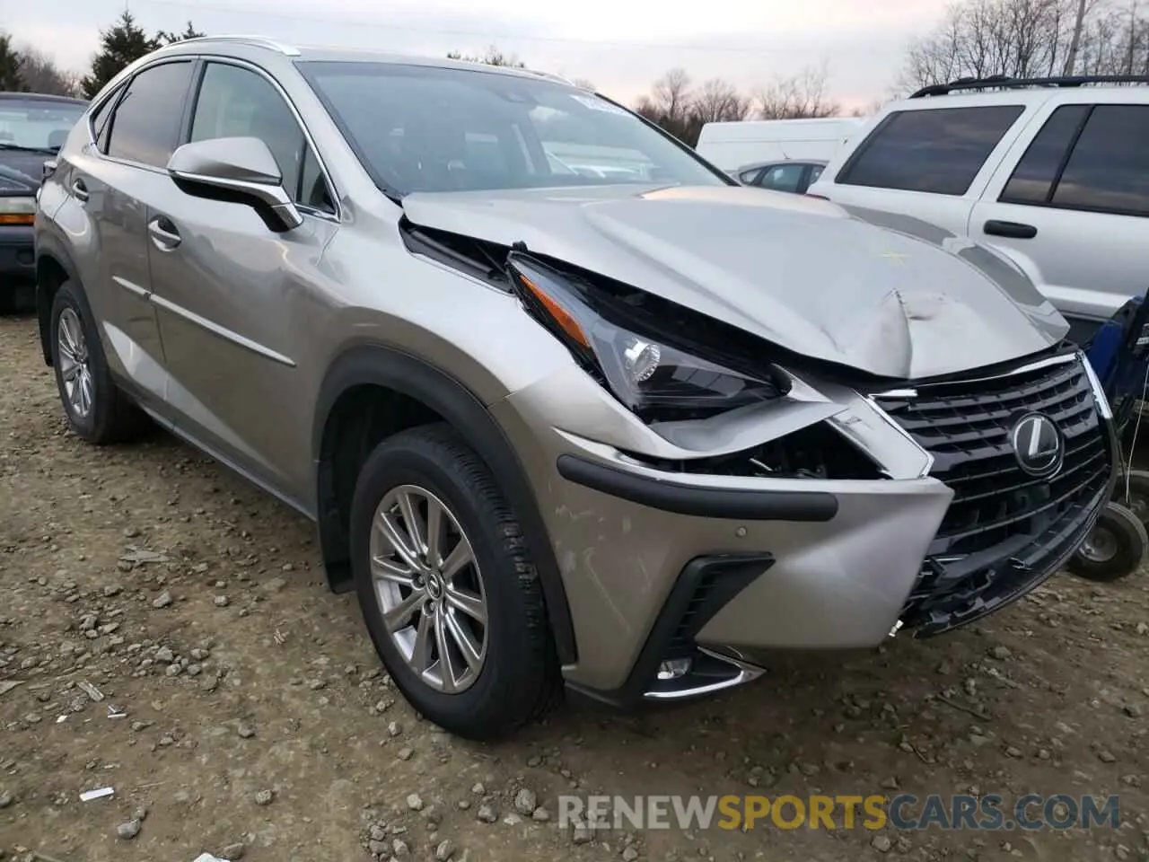 1 fotografías del automóvil dañado JTJBARBZ7K2201999 LEXUS NX 2019