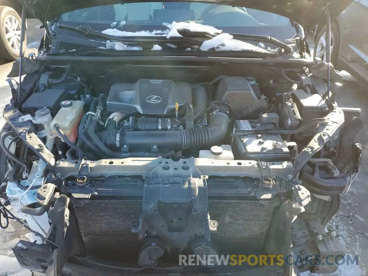 12 fotografías del automóvil dañado JTJBARBZ7K2210069 LEXUS NX 2019