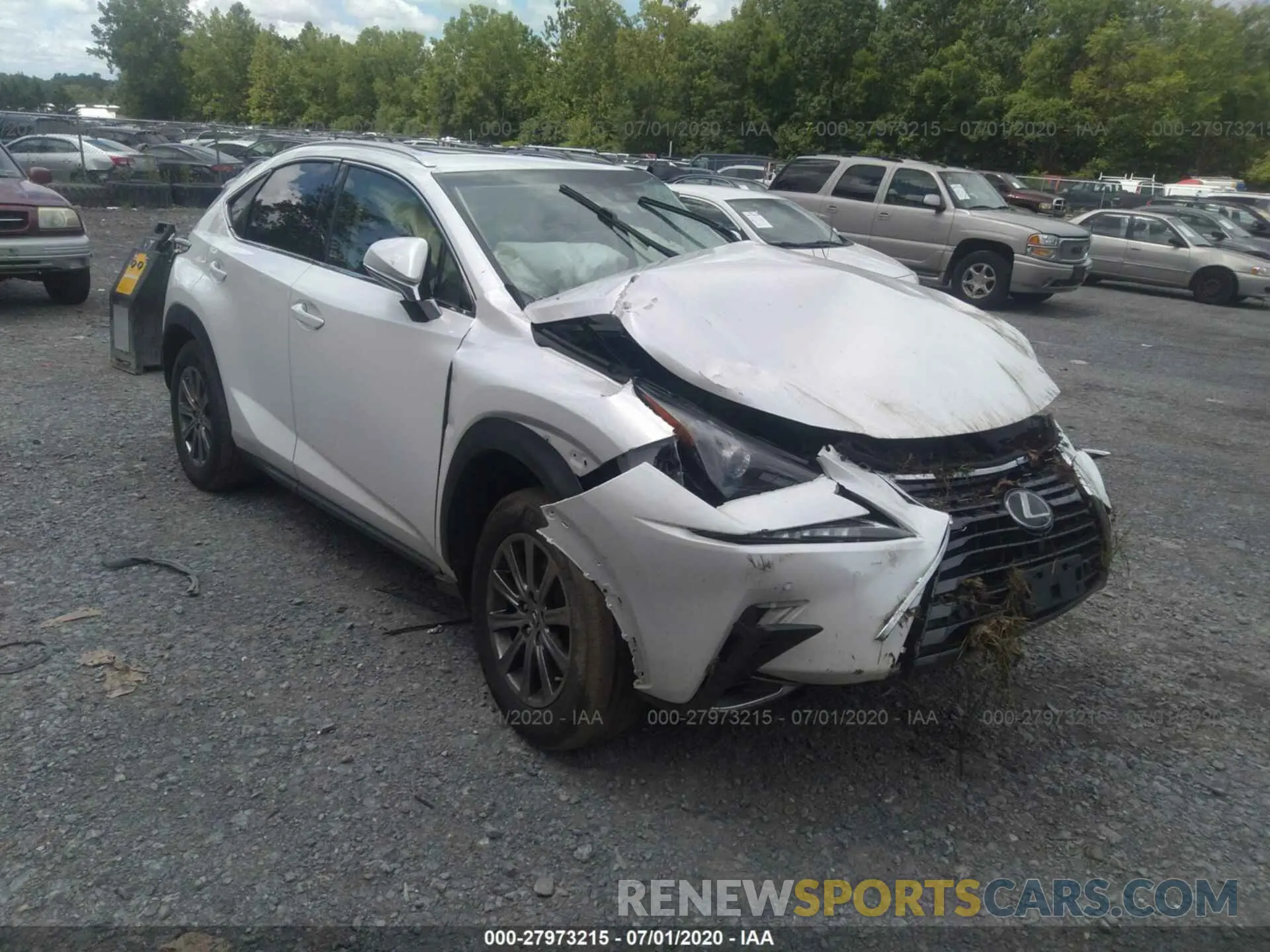 1 fotografías del automóvil dañado JTJBARBZ7K2212260 LEXUS NX 2019