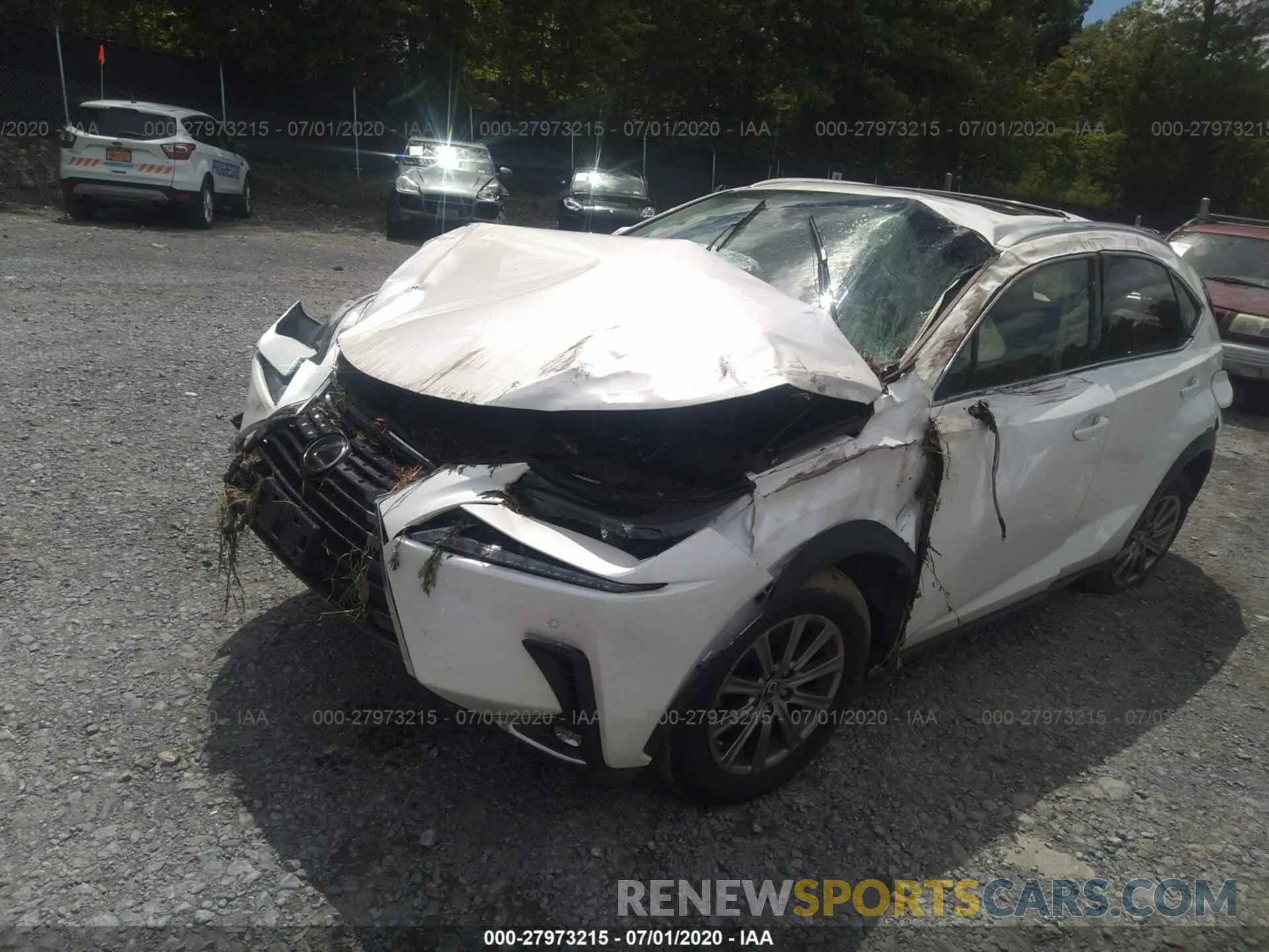 6 fotografías del automóvil dañado JTJBARBZ7K2212260 LEXUS NX 2019