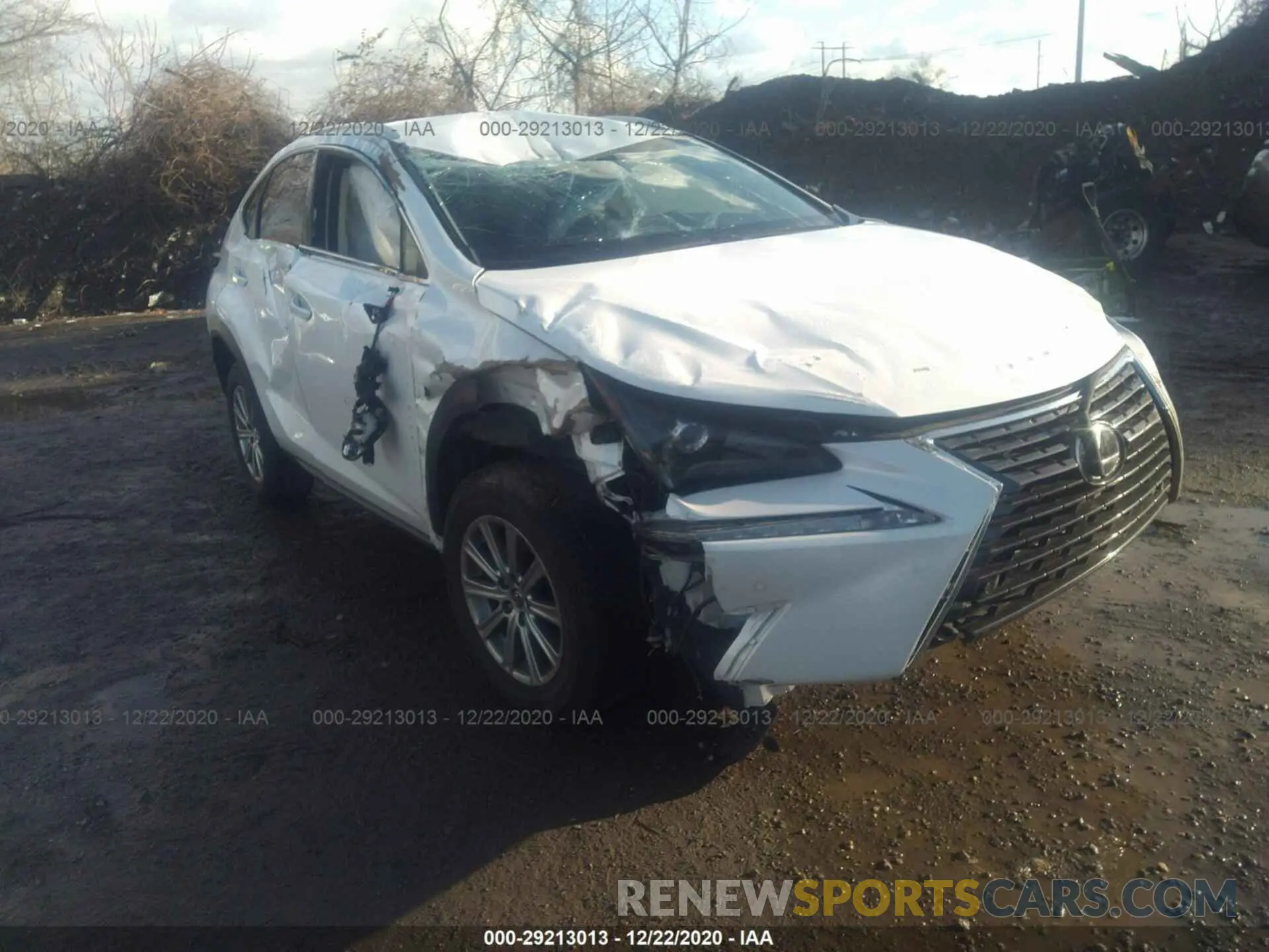 1 fotografías del automóvil dañado JTJBARBZ8K2192780 LEXUS NX 2019