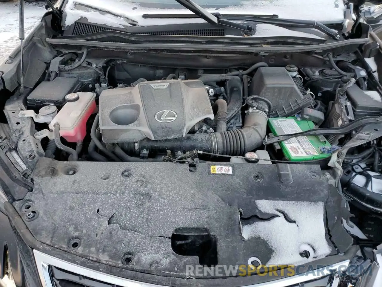 12 fotografías del automóvil dañado JTJBARBZ8K2217595 LEXUS NX 2019