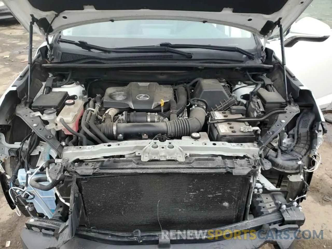12 fotografías del automóvil dañado JTJBARBZXK2216772 LEXUS NX 2019