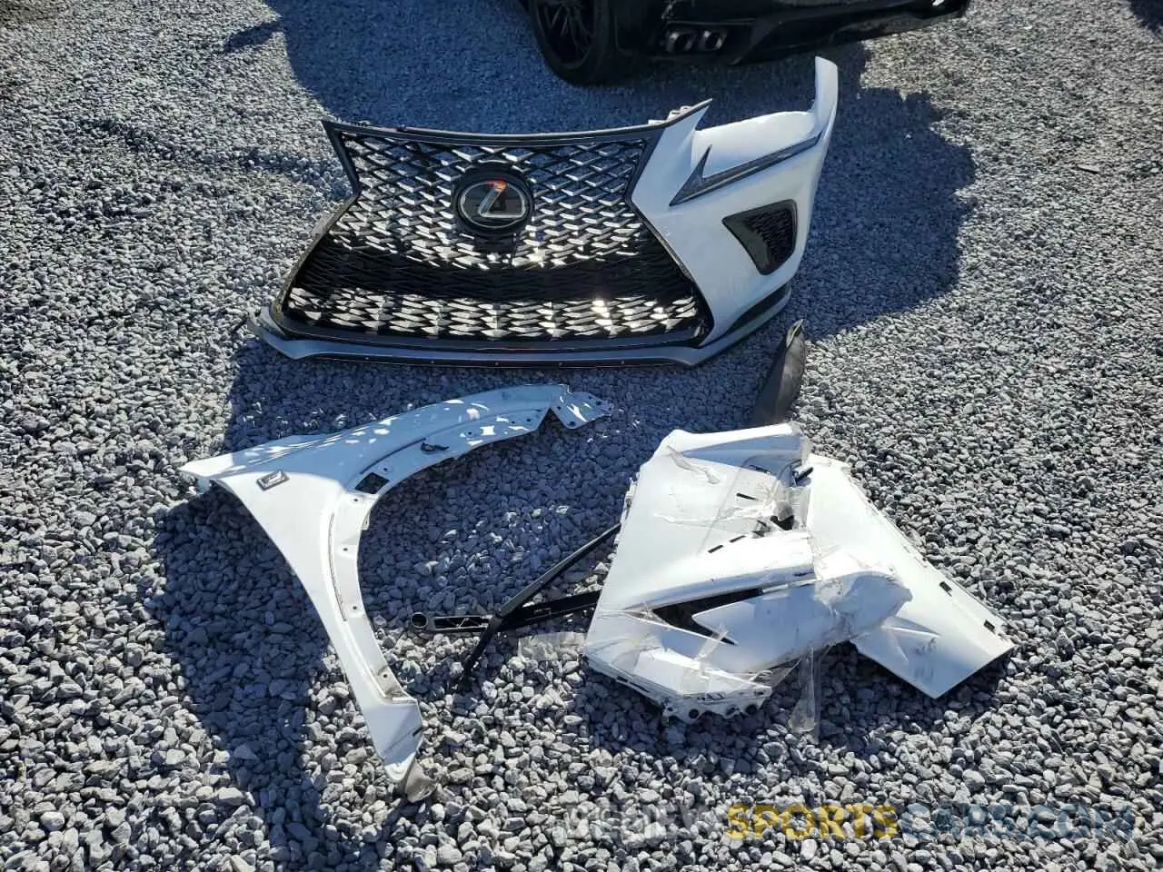 12 fotografías del automóvil dañado JTJYARBZ0K2145964 LEXUS NX 2019