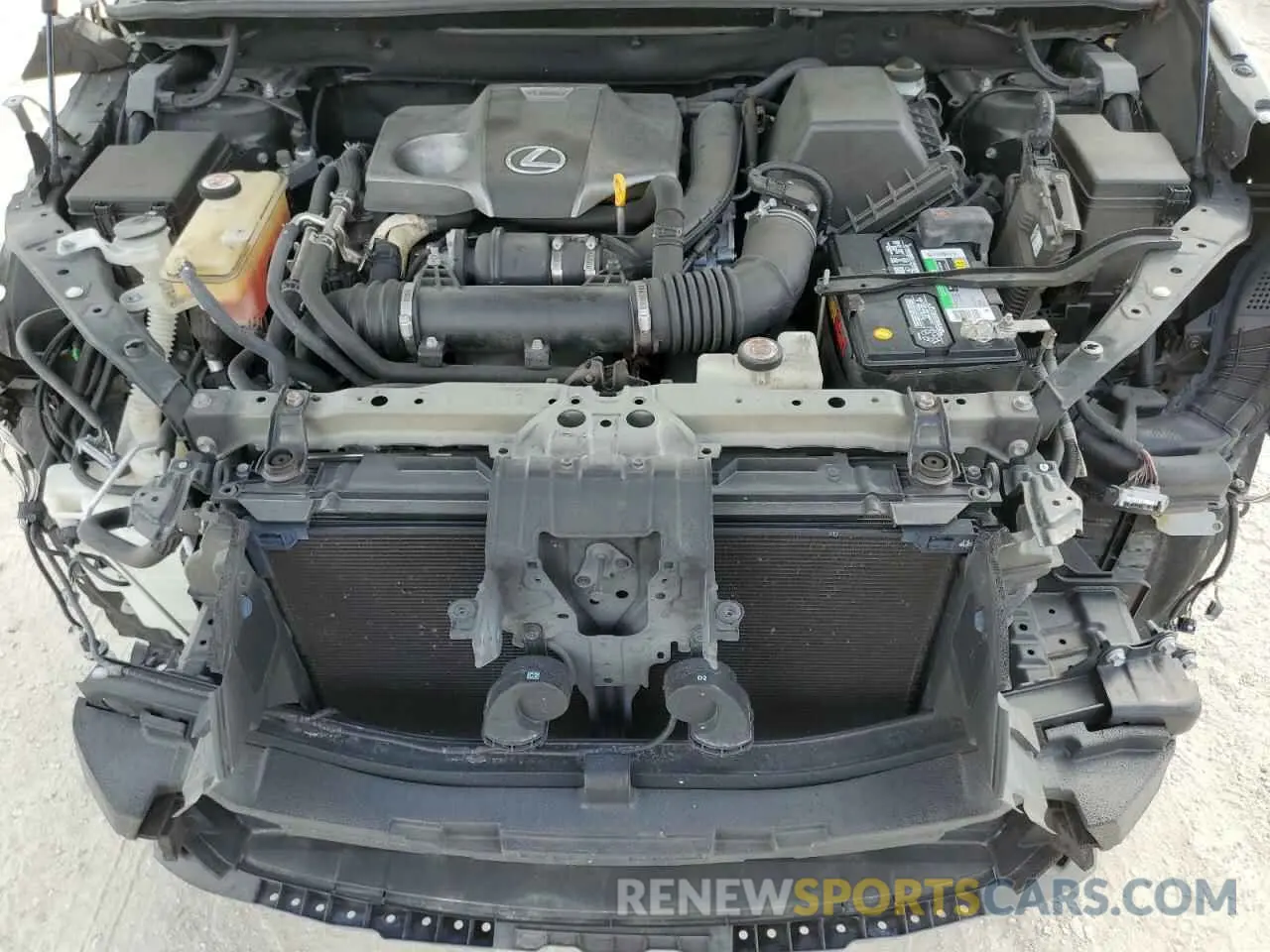 12 fotografías del automóvil dañado JTJYARBZ1K2124752 LEXUS NX 2019