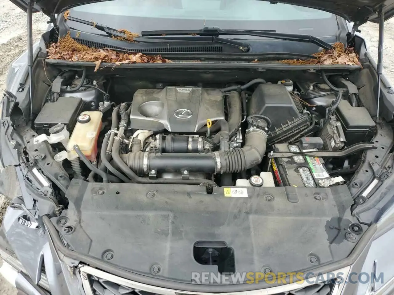 14 fotografías del automóvil dañado JTJYARBZ1K2125769 LEXUS NX 2019