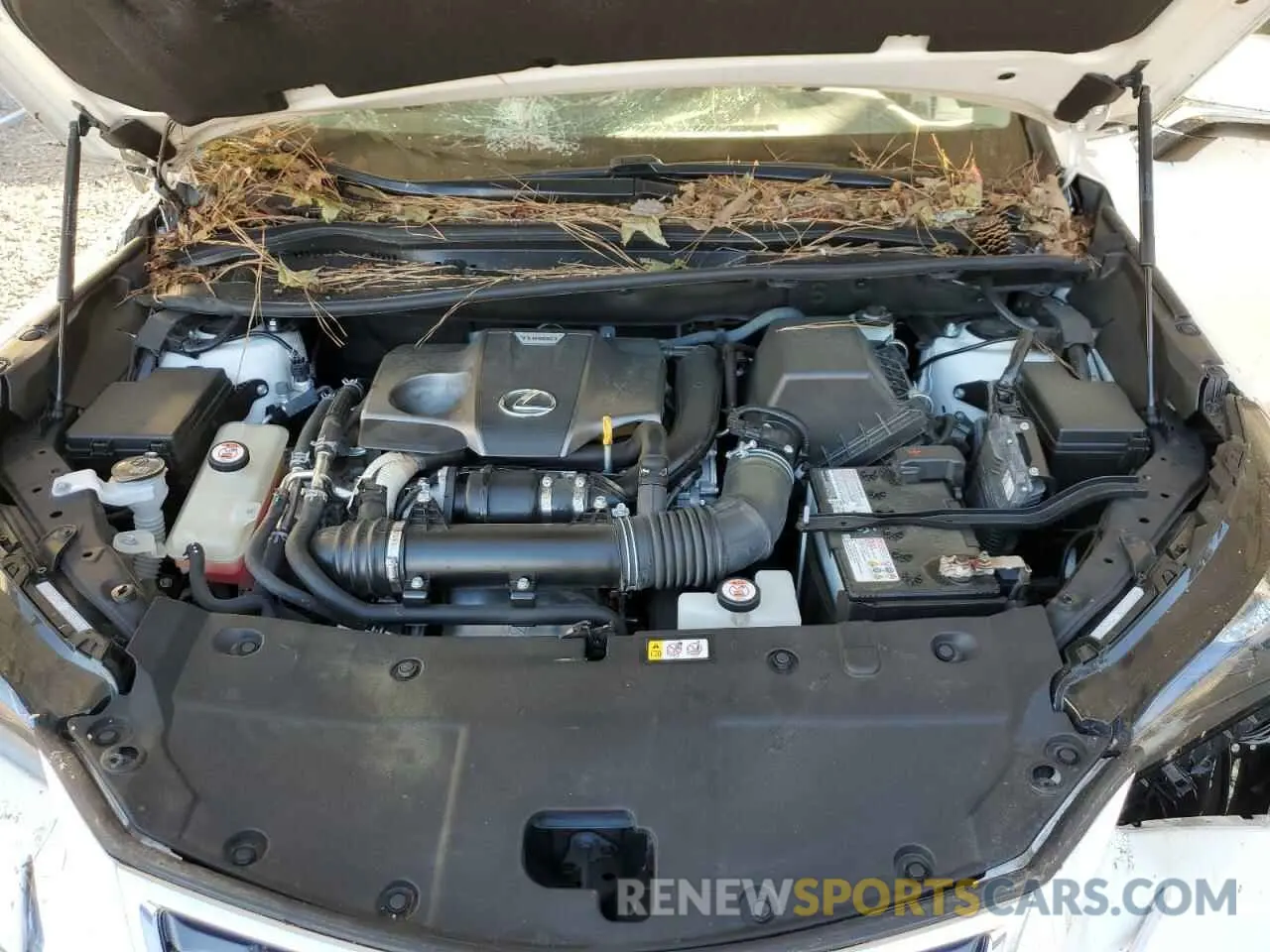 12 fotografías del automóvil dañado JTJYARBZ2K2156187 LEXUS NX 2019