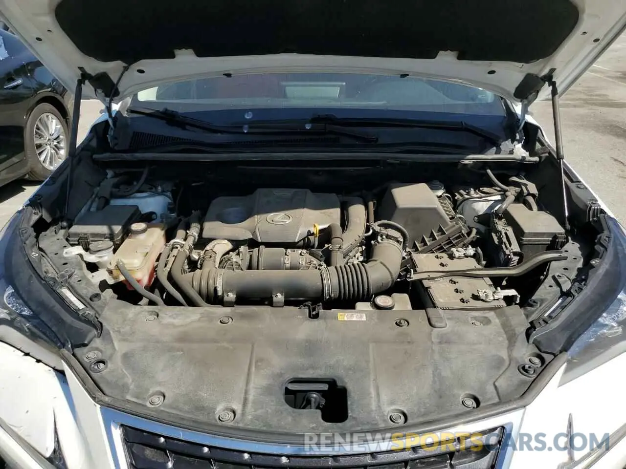 12 fotografías del automóvil dañado JTJYARBZ3K2138538 LEXUS NX 2019
