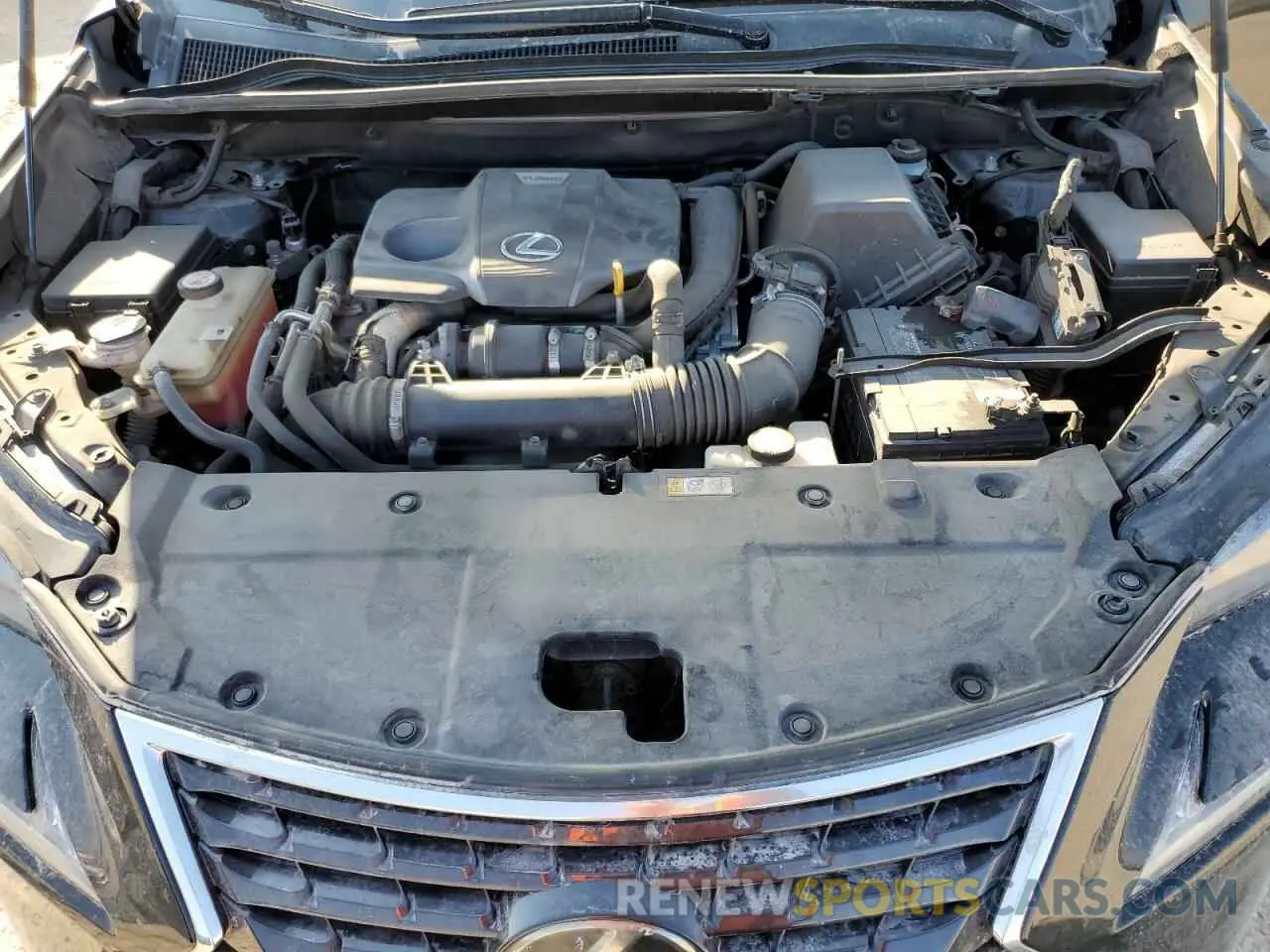 12 fotografías del automóvil dañado JTJYARBZ4K2143392 LEXUS NX 2019