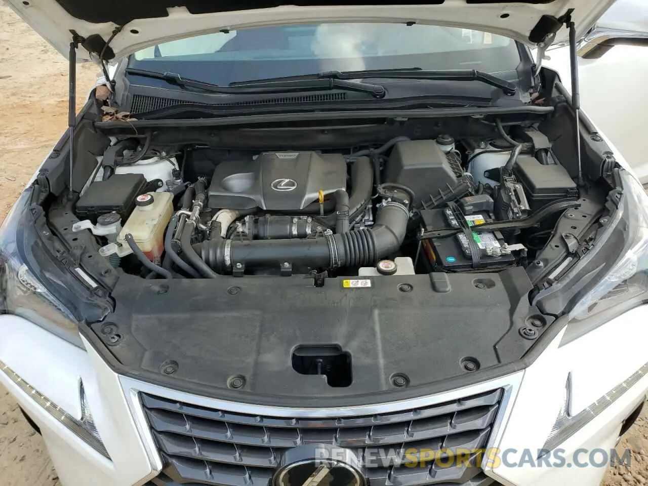14 fotografías del automóvil dañado JTJYARBZ4K2157485 LEXUS NX 2019