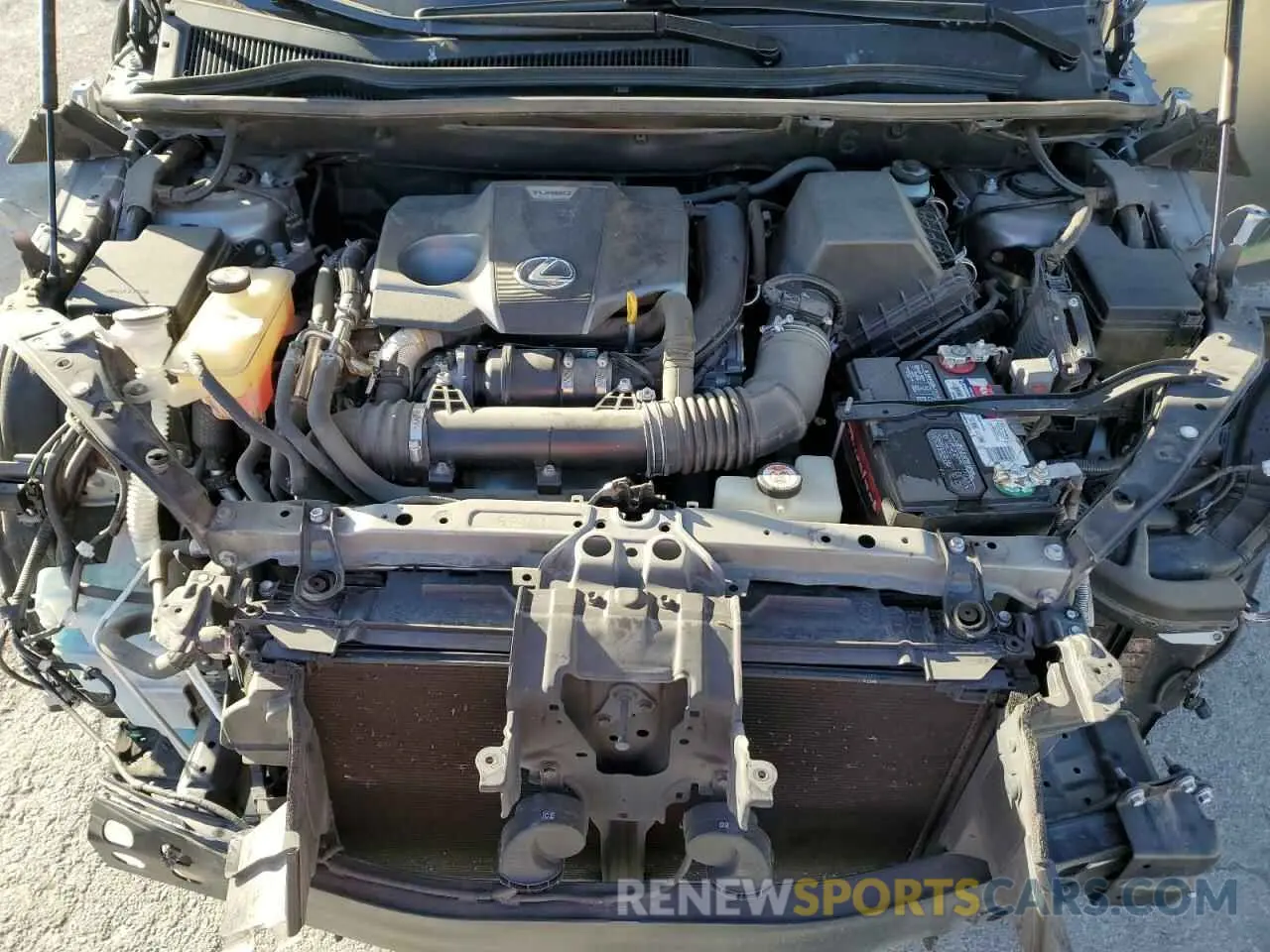 12 fotografías del automóvil dañado JTJYARBZ5K2137469 LEXUS NX 2019